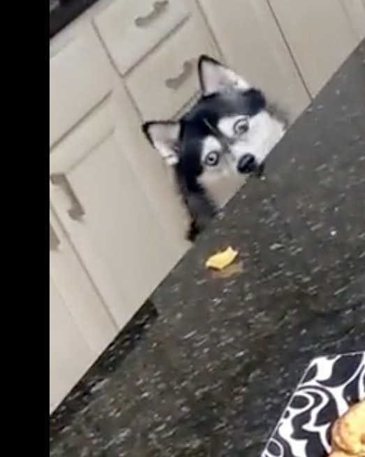 Daily smile 11 7 22 no play