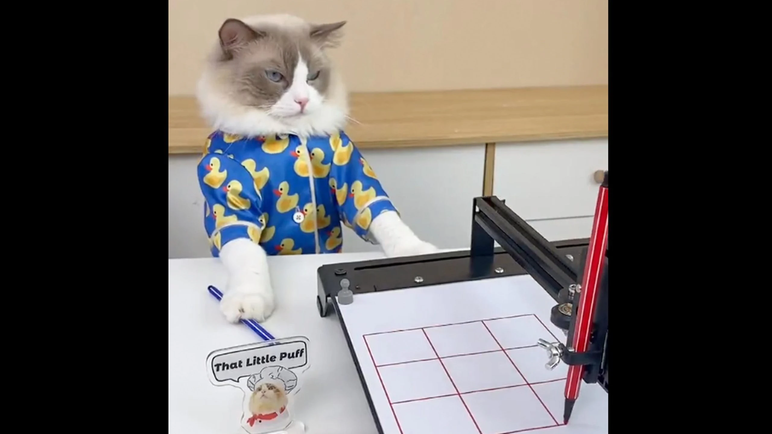 Daily smile 11 8 22 v2 scaled