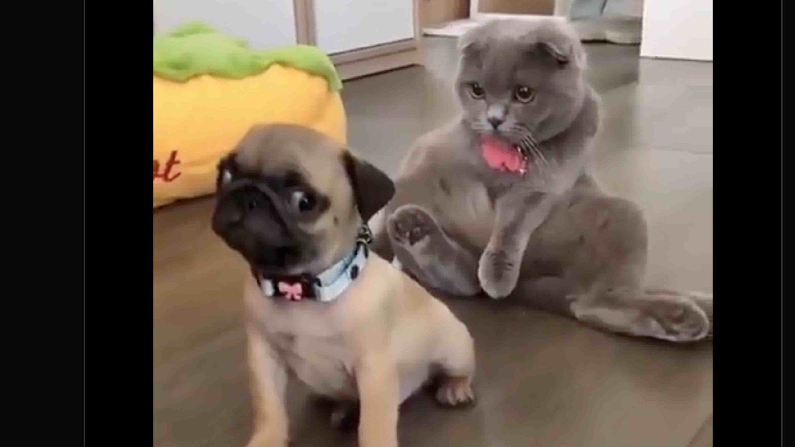 Daily smile 12 1 22 scaled