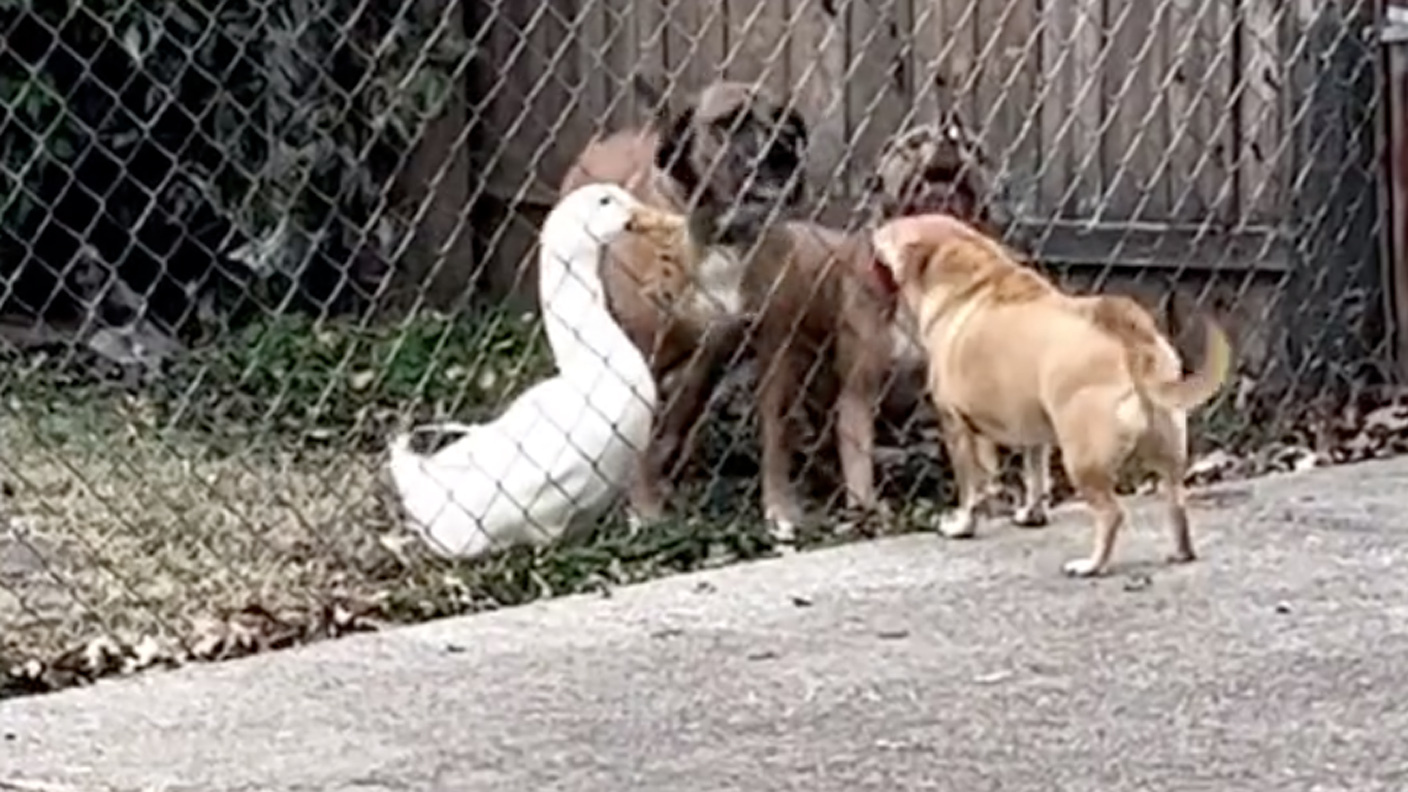 Daily smile 12 19 22