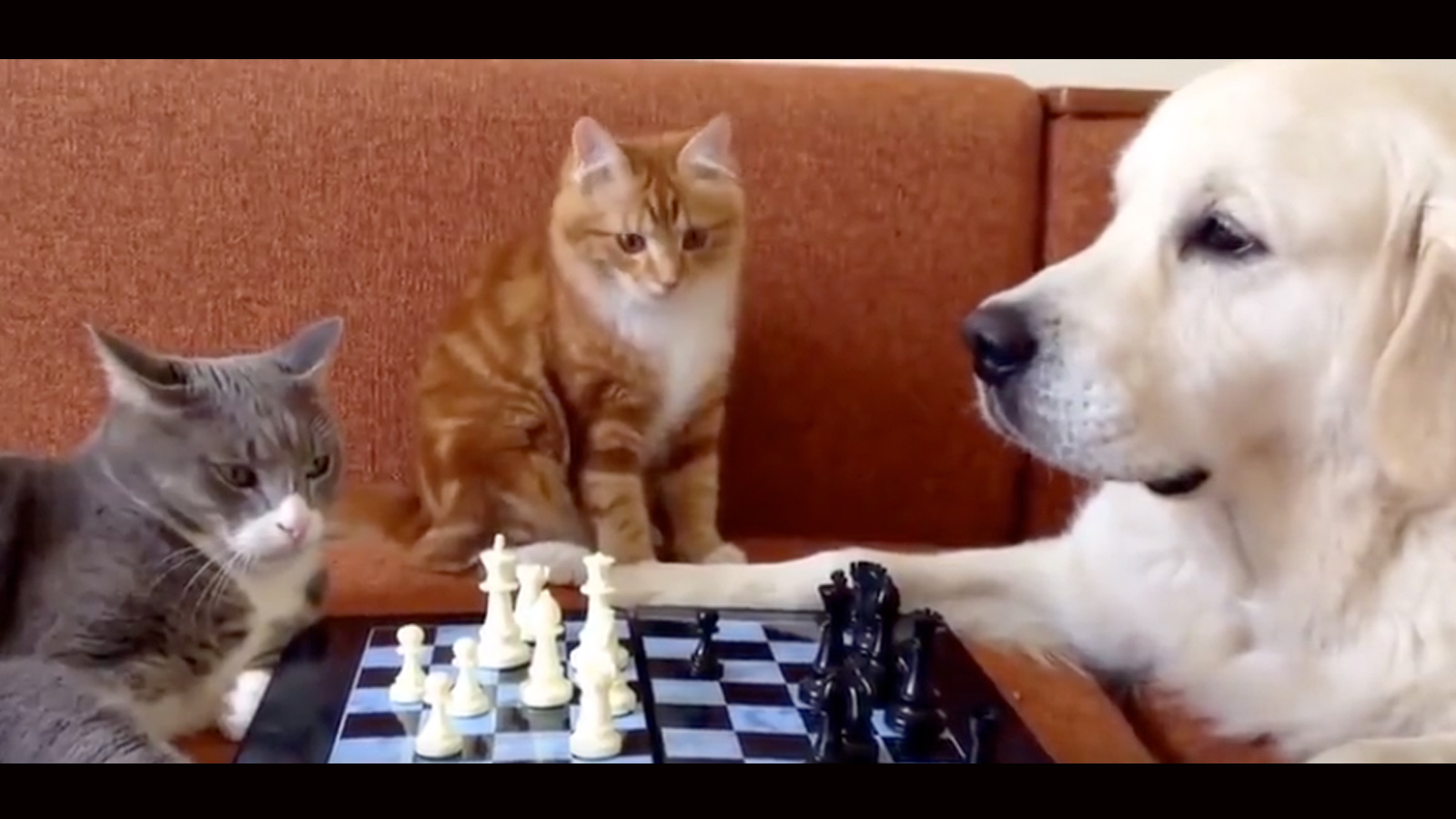 Daily smile 12 20 22