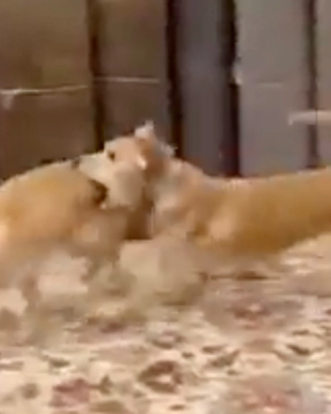 Daily smile 12 22 22 scaled