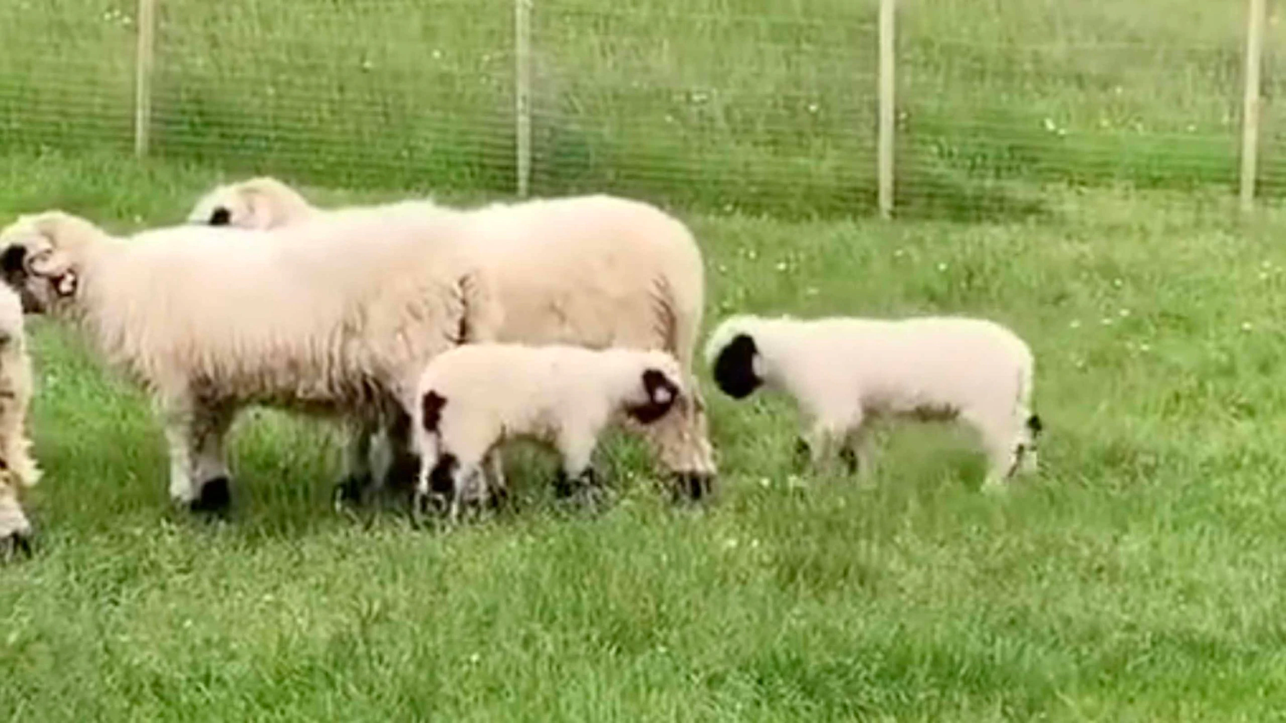 Daily smile 12 28 22 scaled