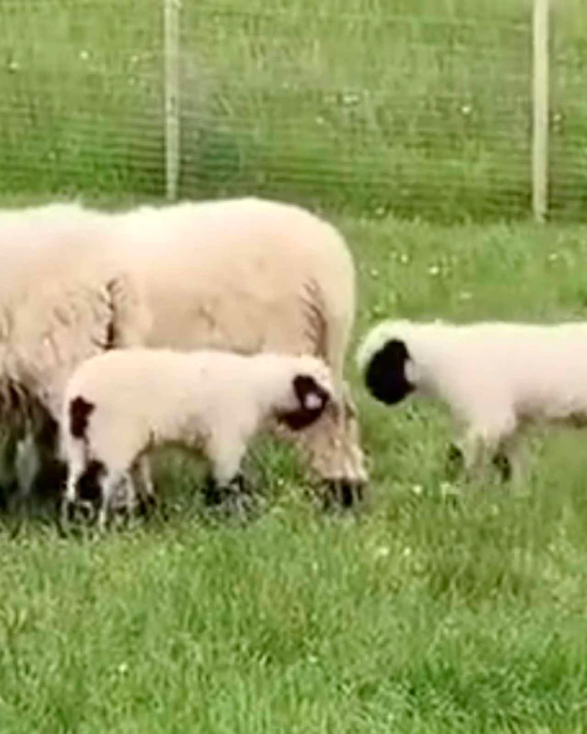 Daily smile 12 28 22 scaled