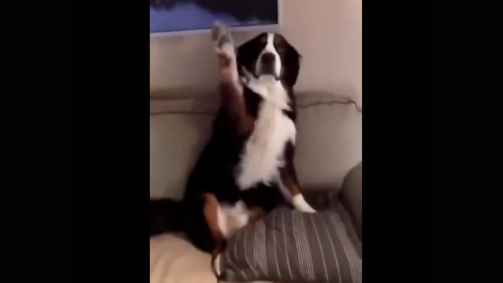 Daily smile 12 30 22