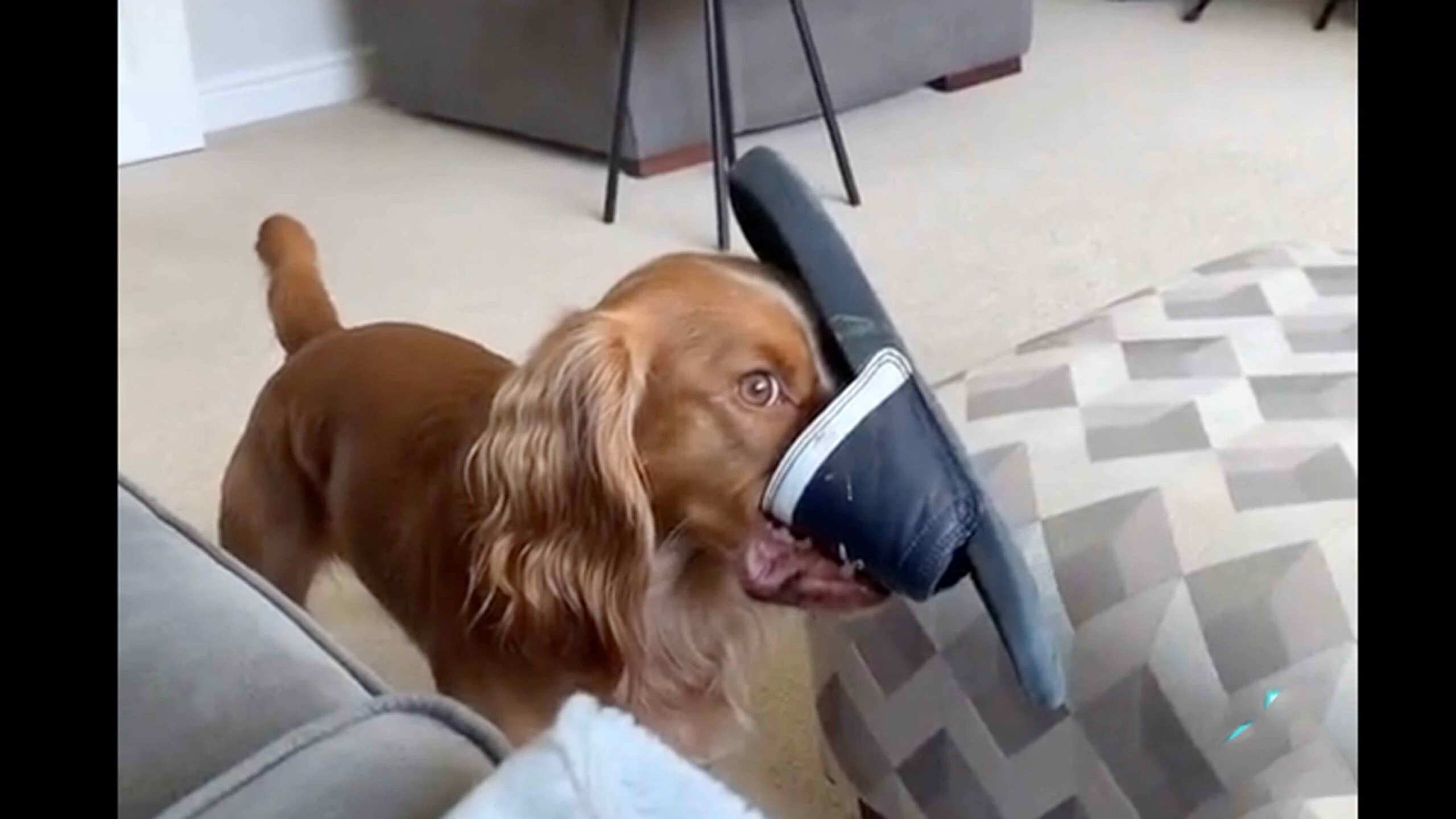 Daily smile 2 10 23 scaled