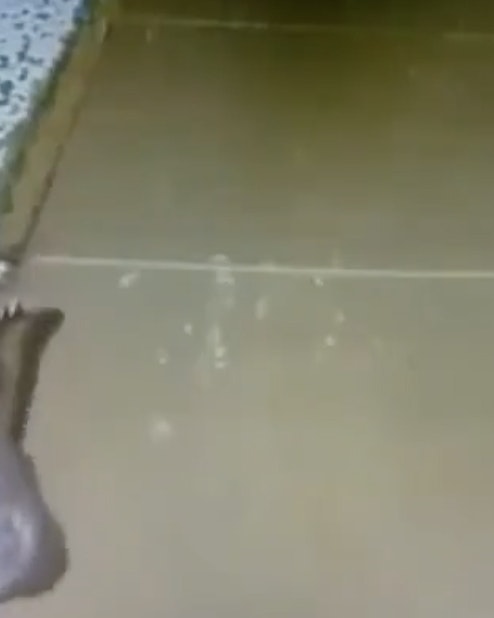 Daily smile 2 no play 11 4 22