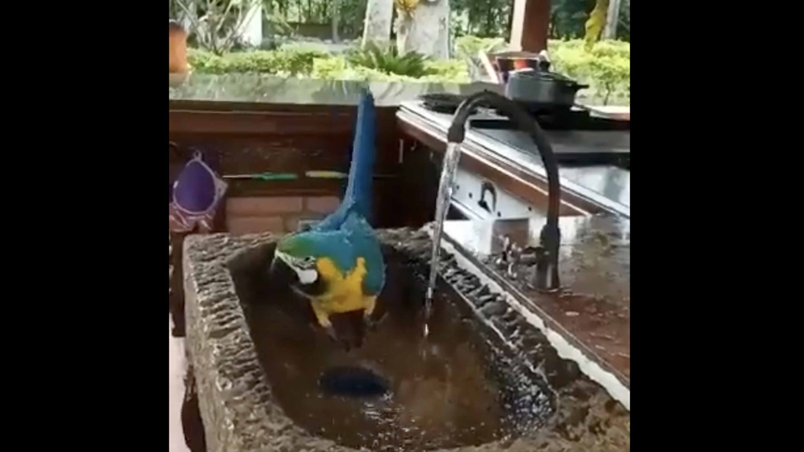 Daily smile 3 15 23 scaled