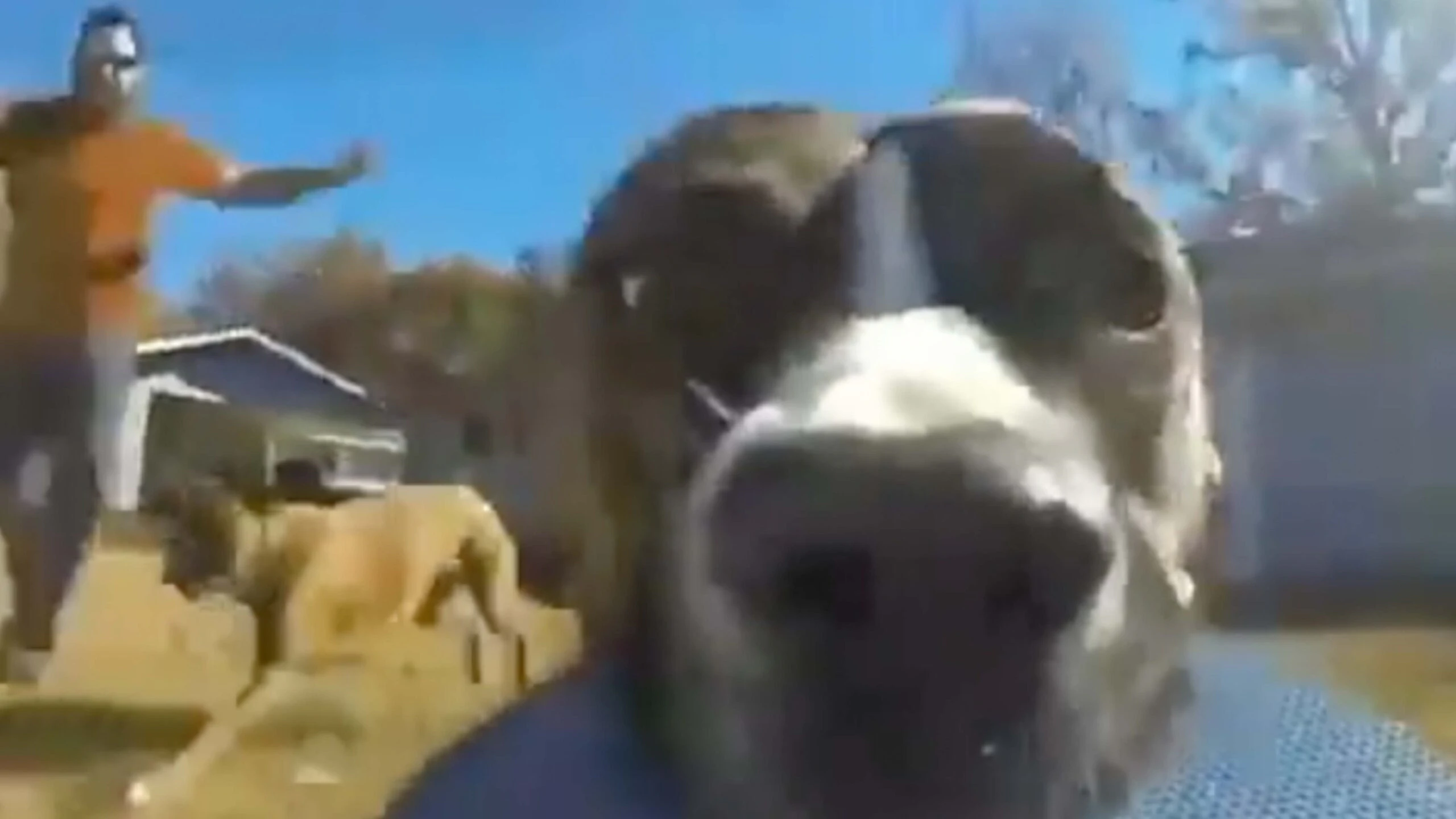 Daily smile 3 2 23 scaled