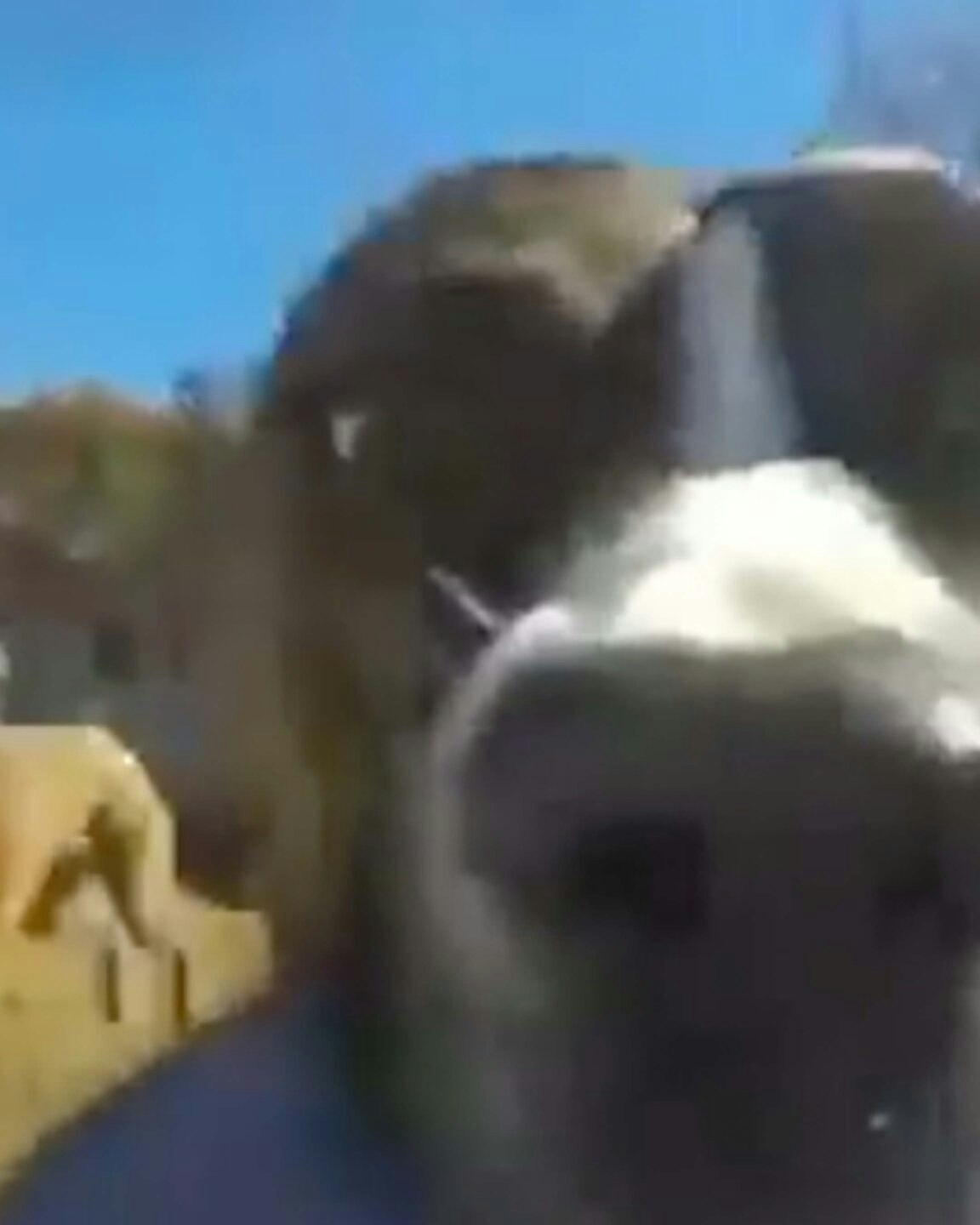 Daily smile 3 2 23 scaled