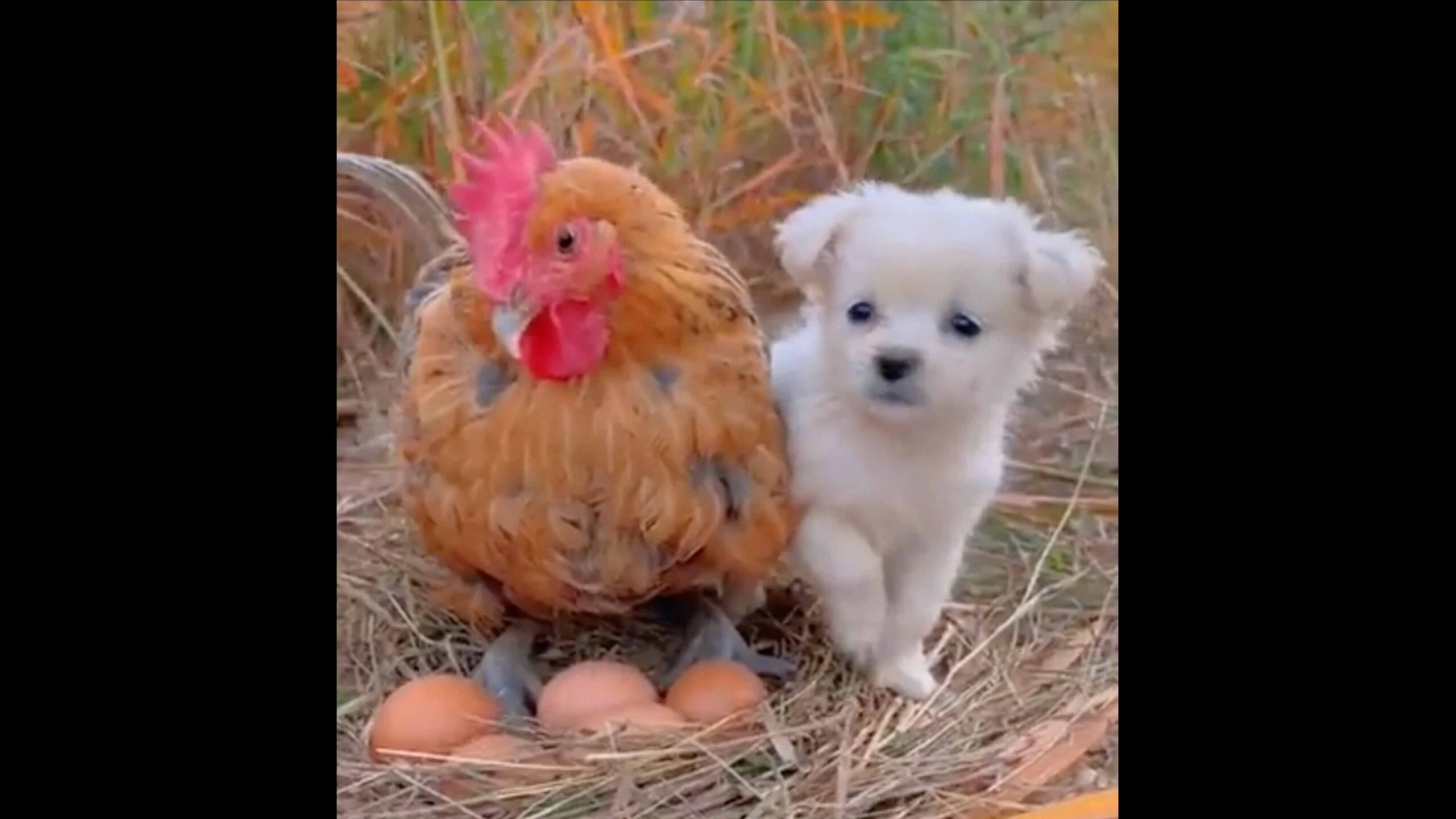 Daily smile 3 21 23 scaled