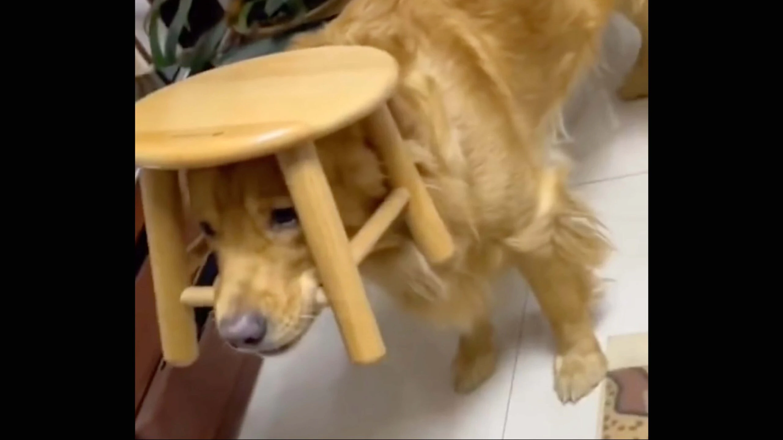 Daily smile 3 23 23 scaled