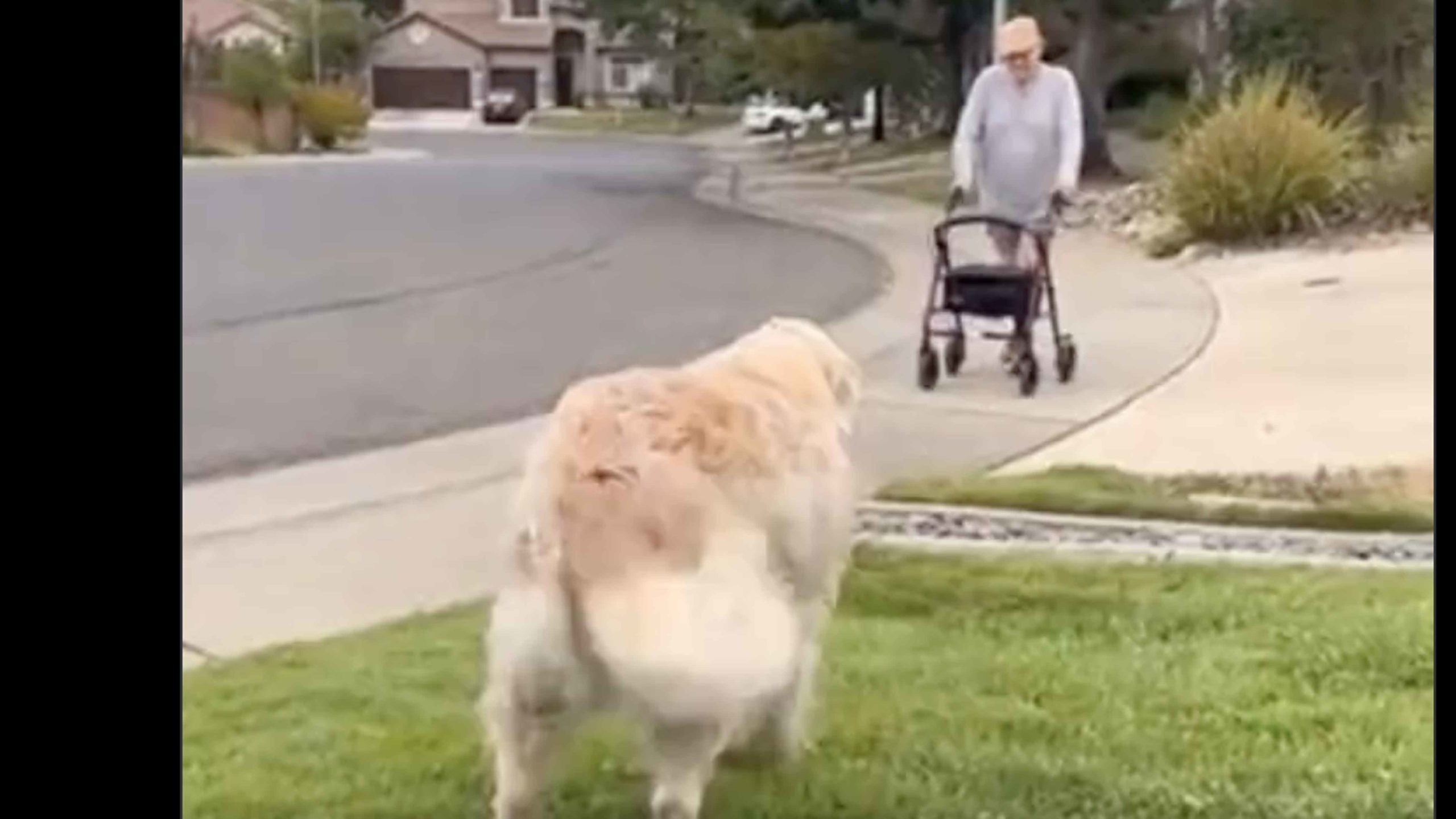 Daily smile 9 28 22 no play scaled