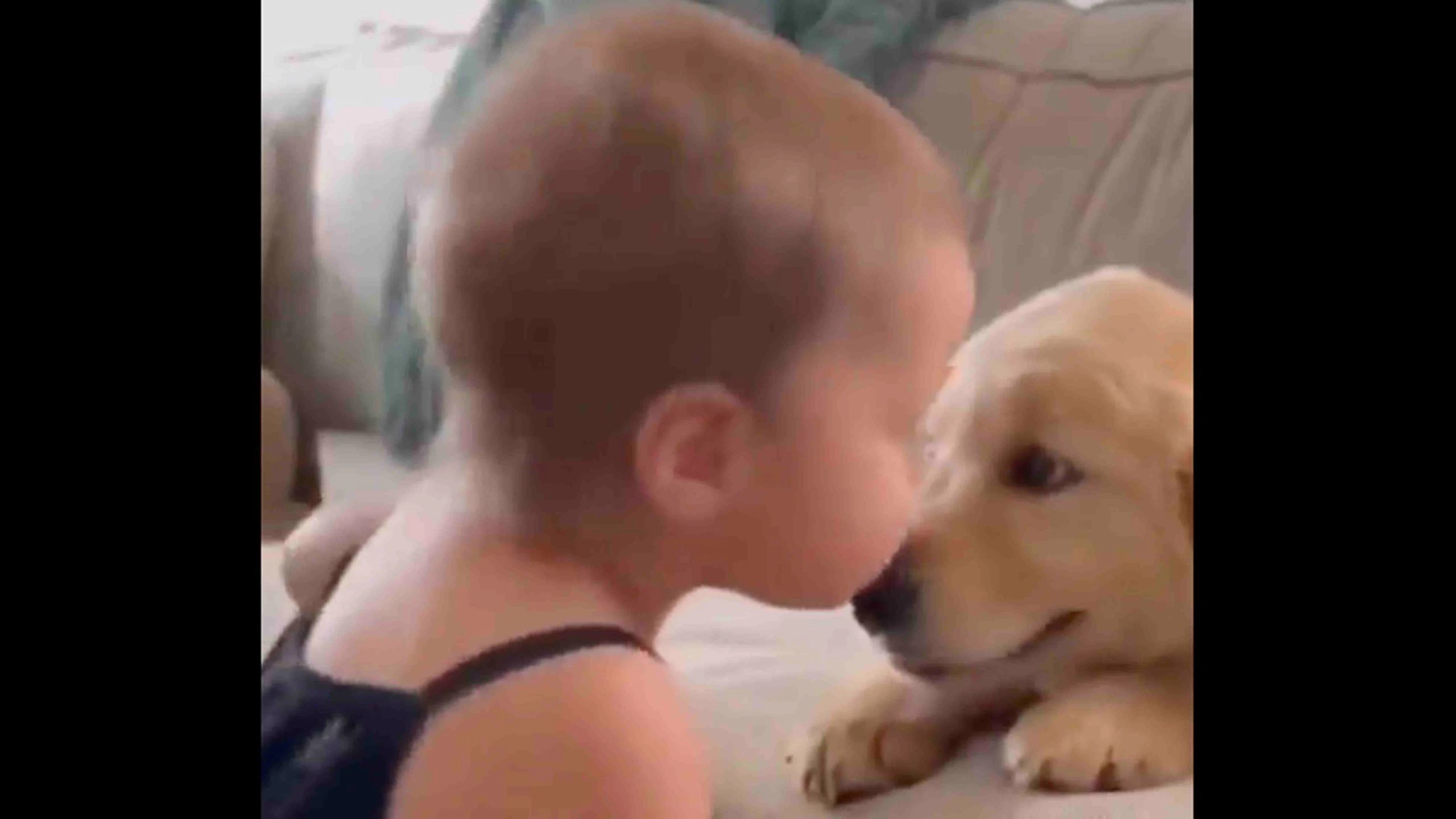 Daily smile no play 10 27 22 scaled