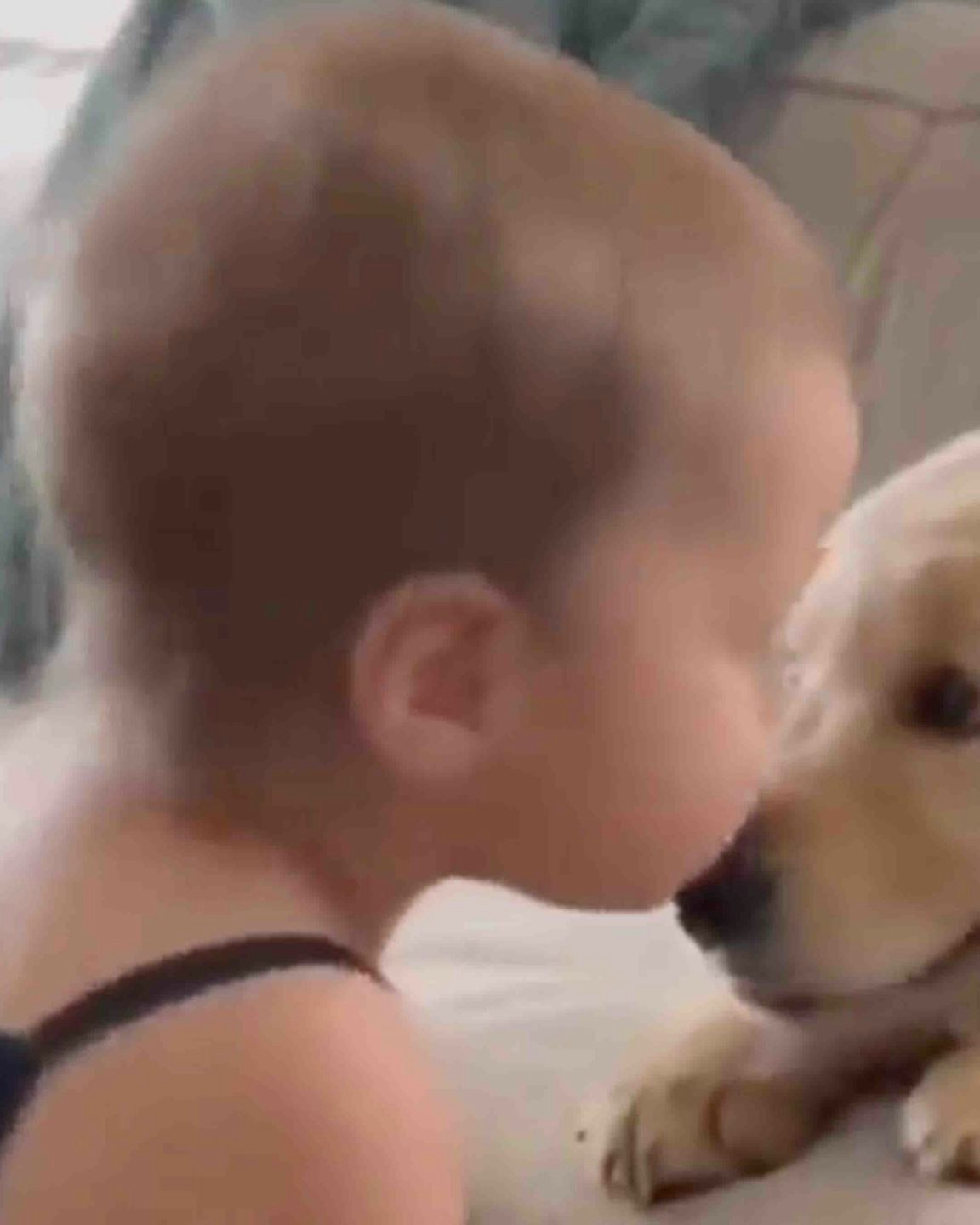 Daily smile no play 10 27 22 scaled