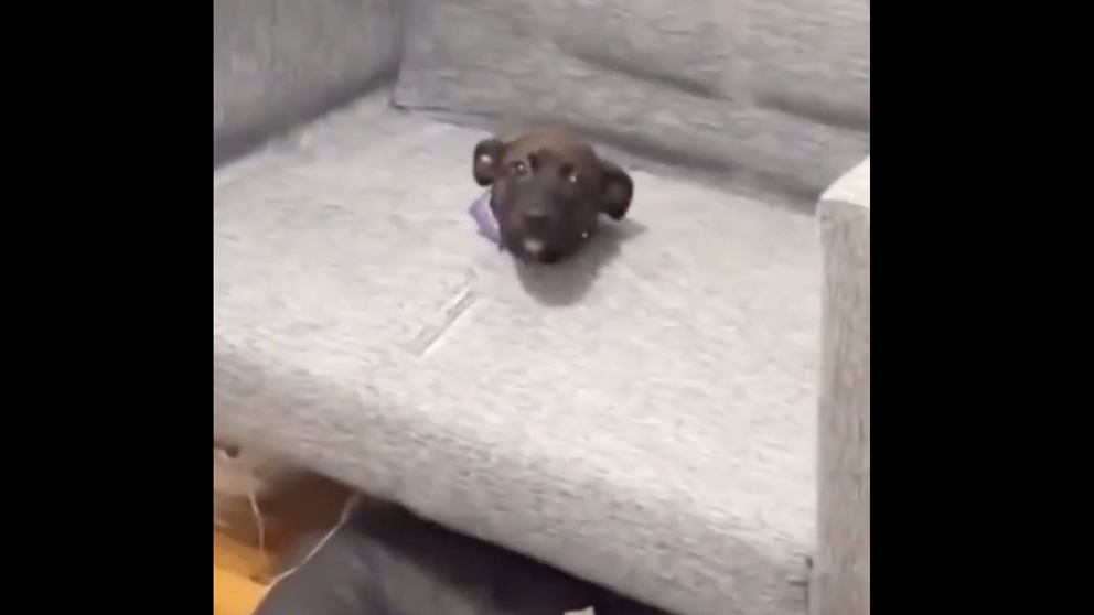 Daily smile no play 9 16 22