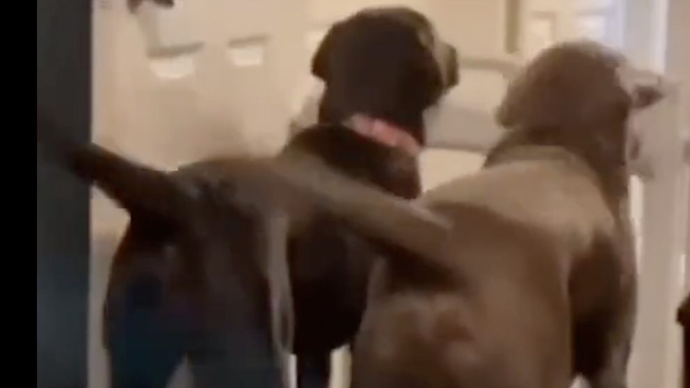 Daily smile no play 9 19 22