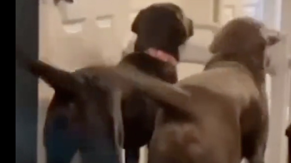 Daily smile no play 9 19 22