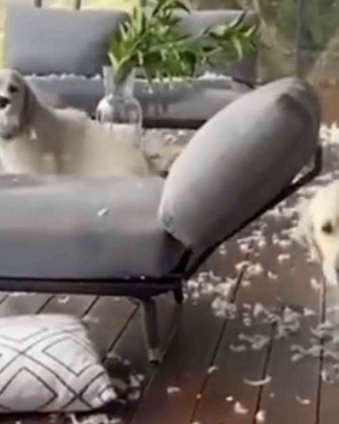 Daily smile no play 9 23 22 scaled