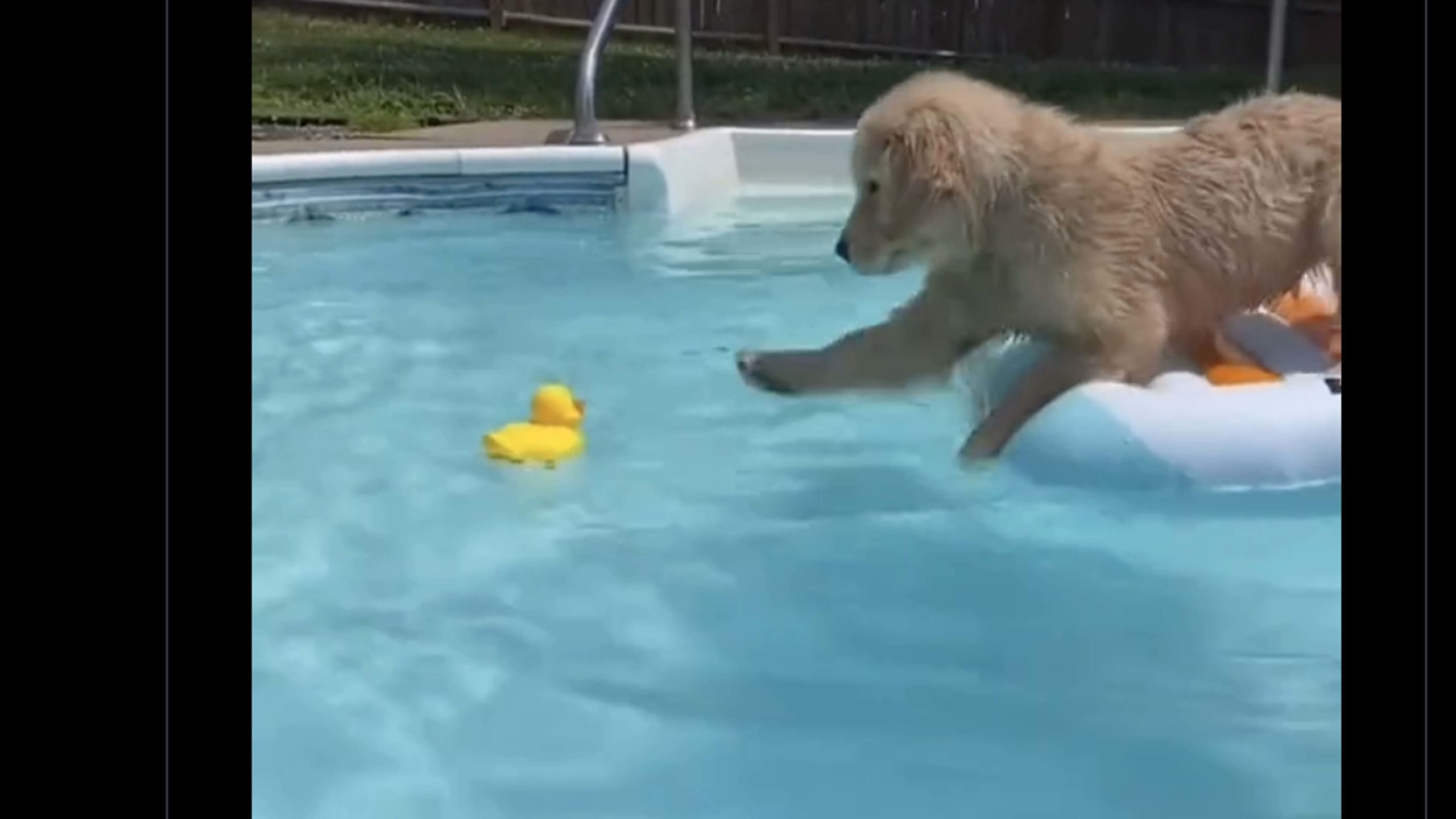 Daily smile oct 13 22 no play scaled