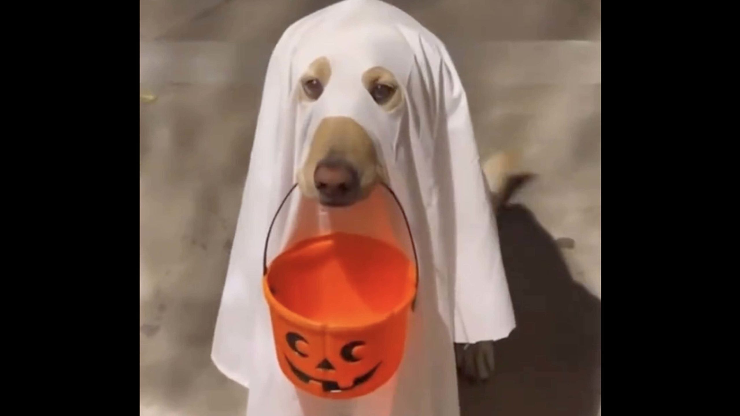 Daily smile tuesday oct 11 no play scaled