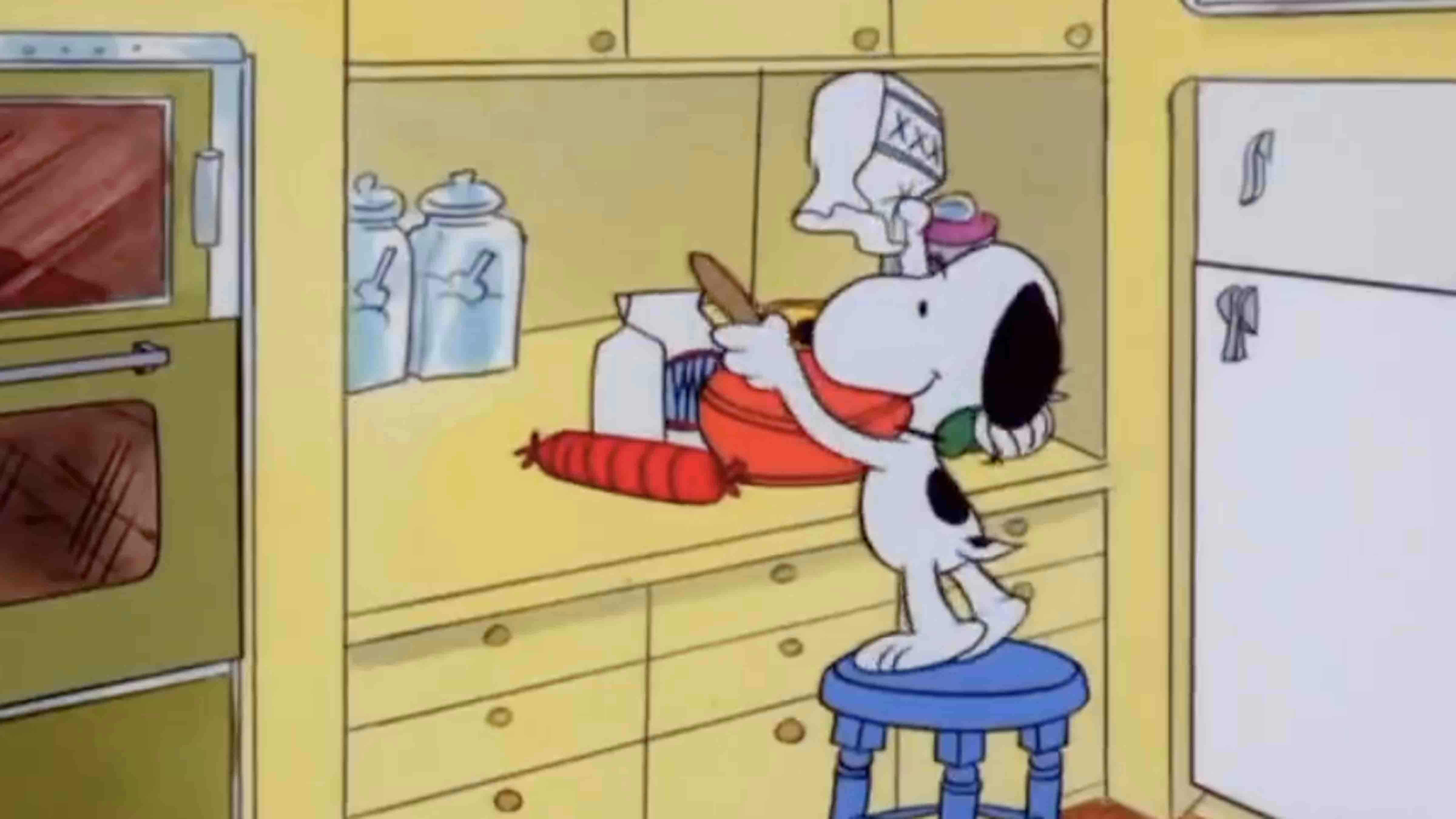 Daily snoopy 5 31 25