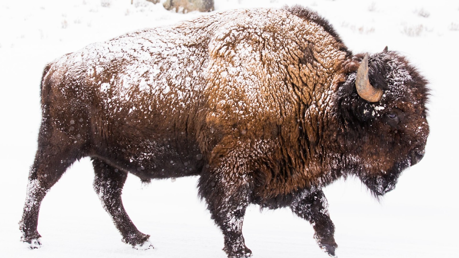 Daniel lloyd blunk fernandez 5d Oux HN3tn0 unsplash