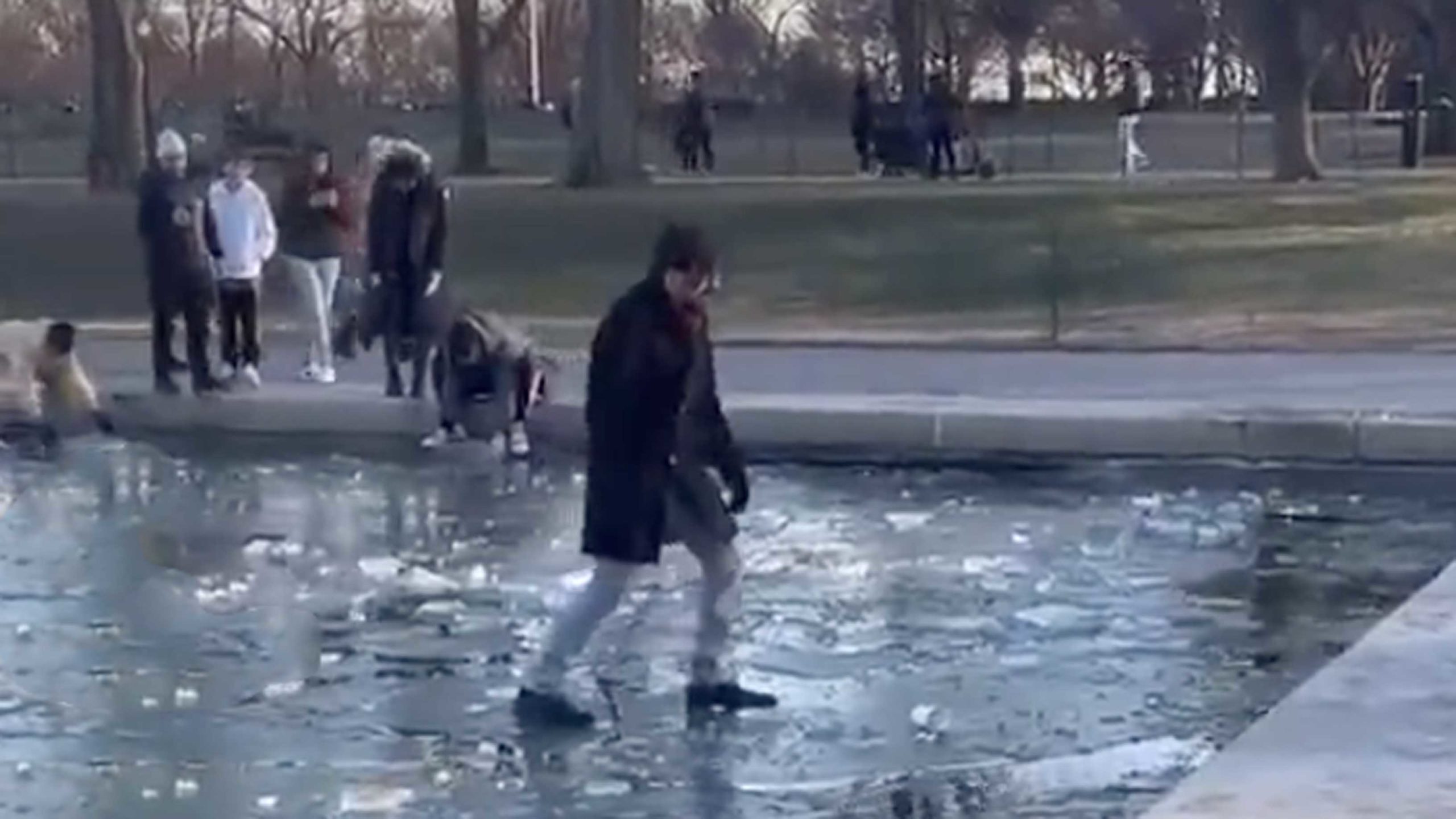 Darwin 1 1 23 scaled