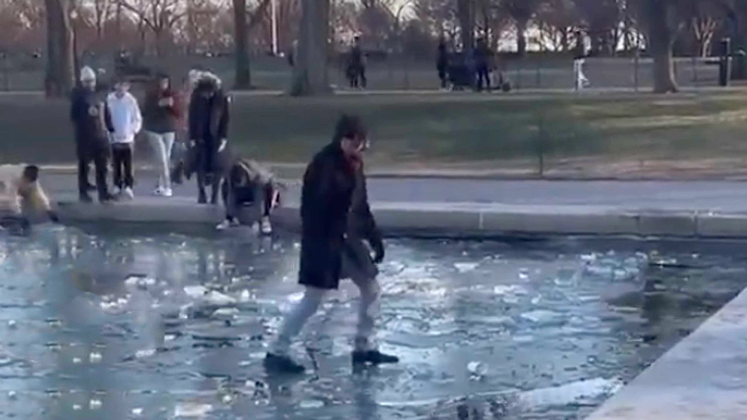 Darwin 1 1 23 scaled