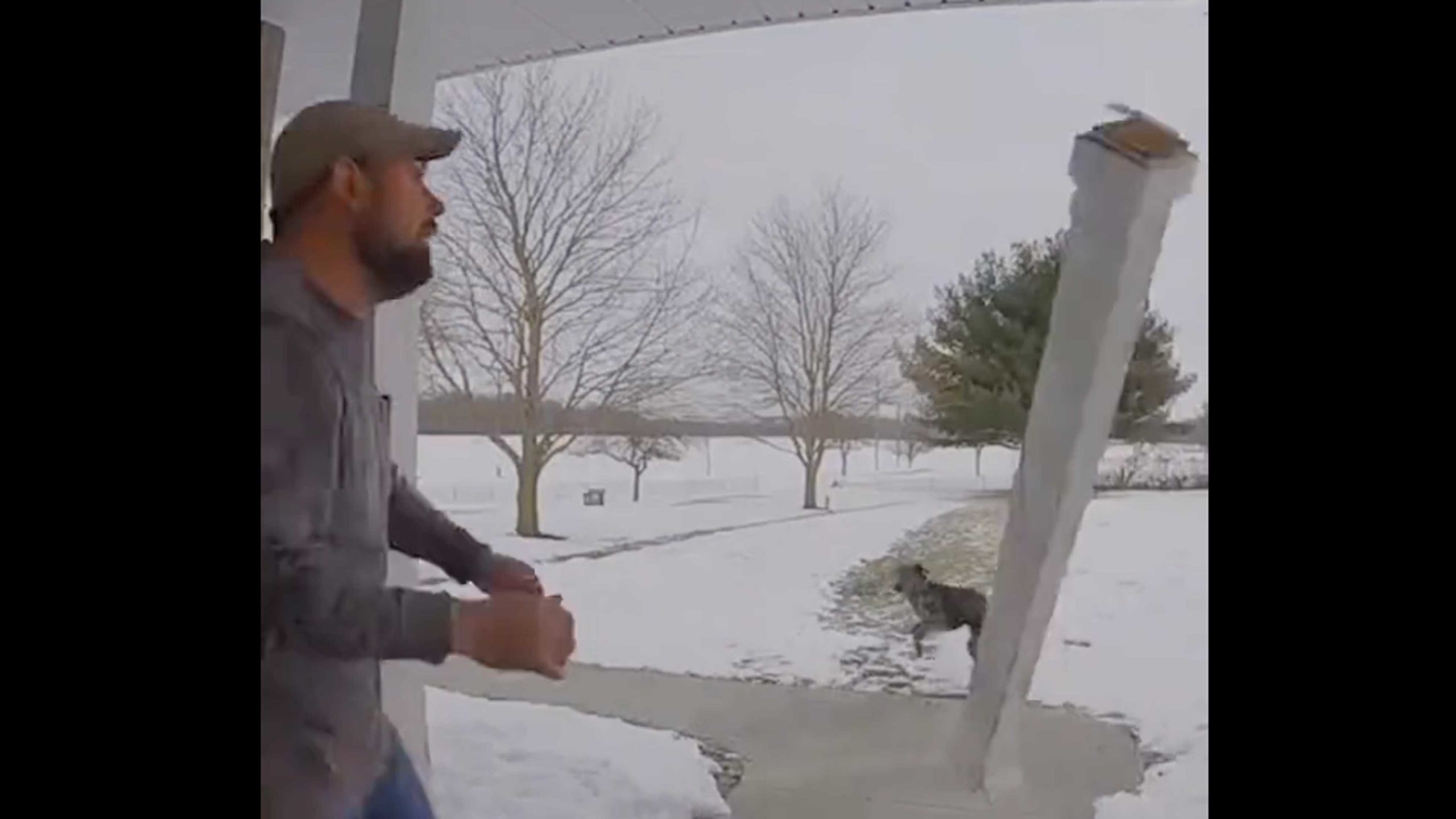 Darwin 1 16 23 scaled