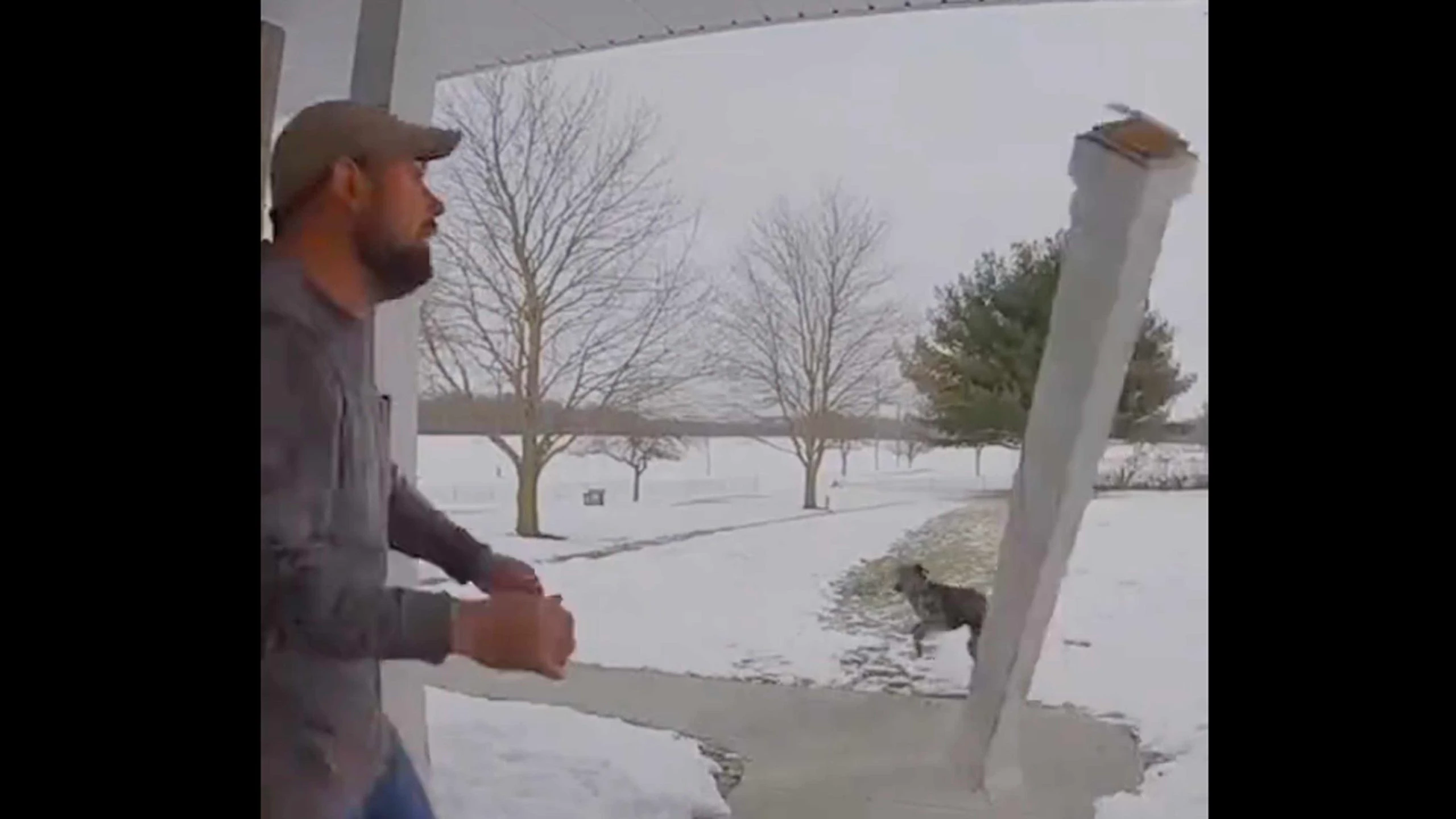 Darwin 1 16 23 scaled