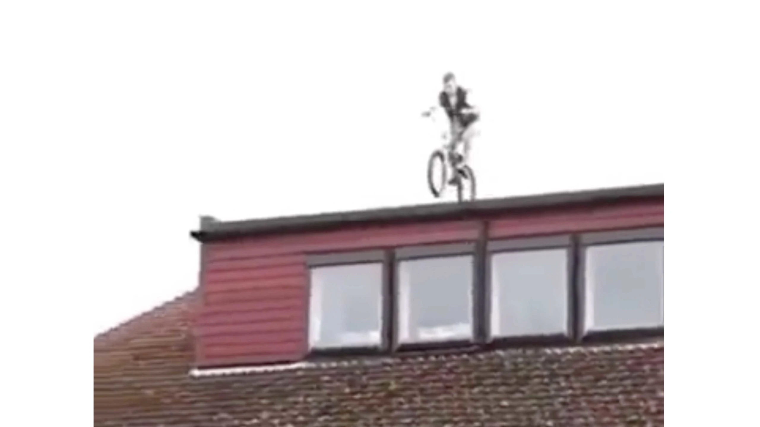 Darwin 1 25 23 scaled