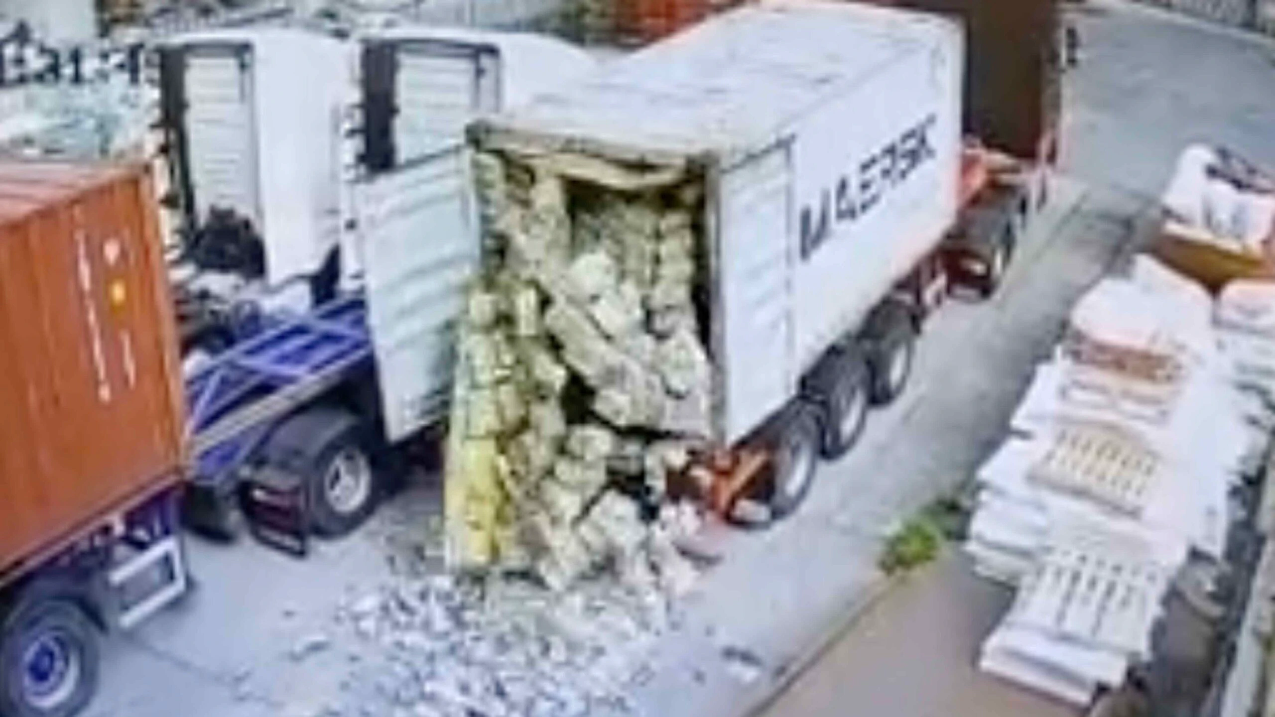 Darwin 1 27 23 scaled