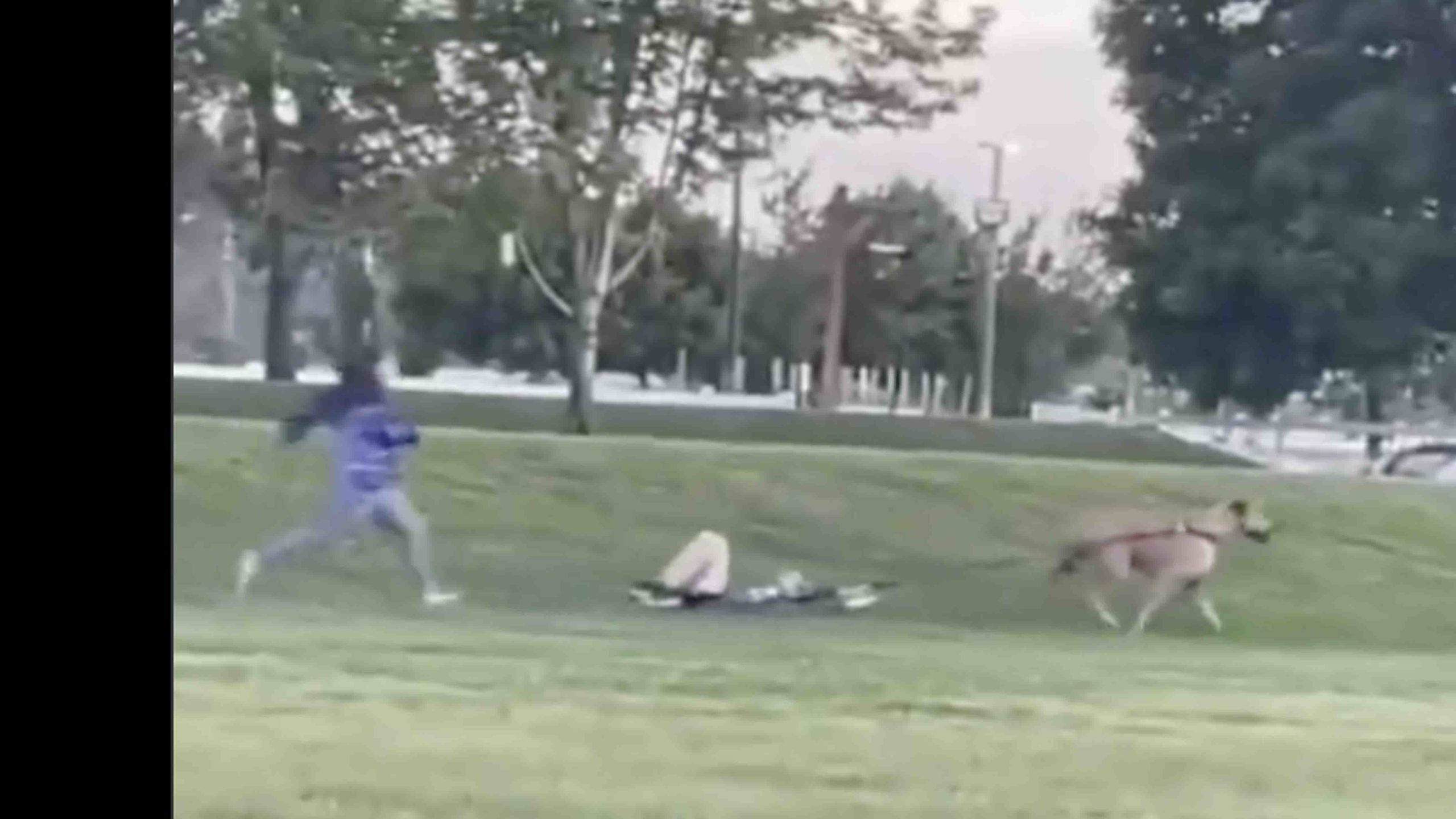 Darwin 10 19 22 no play scaled