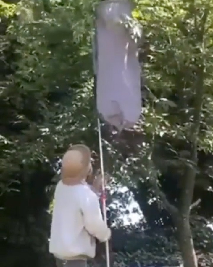 Darwin 10 4 22 no play