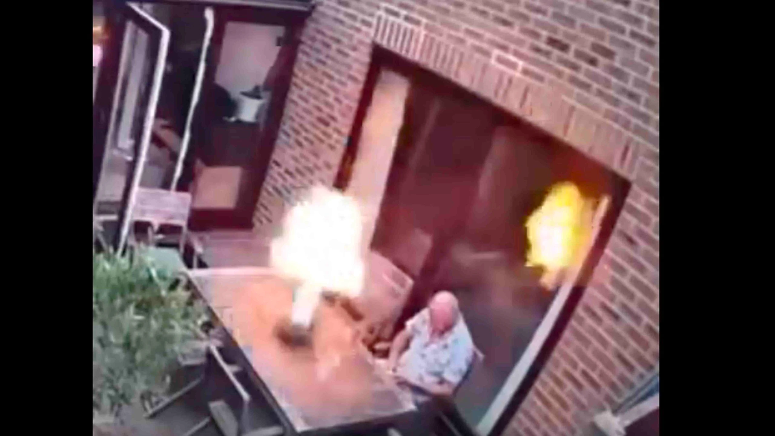 Darwin 11 10 22 scaled