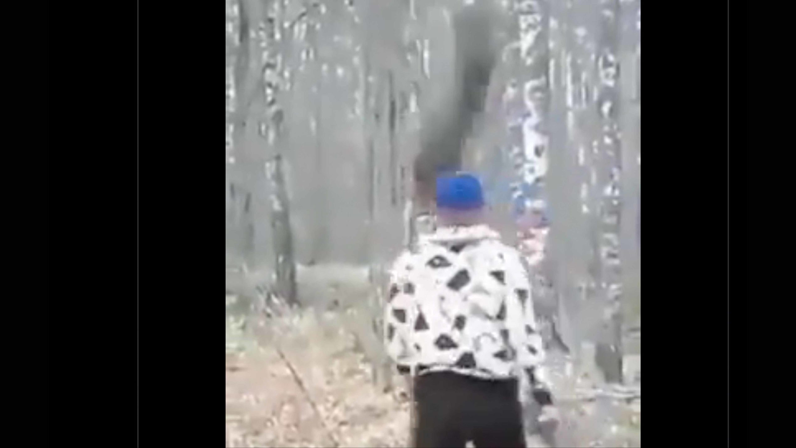 Darwin 11 15 22 scaled