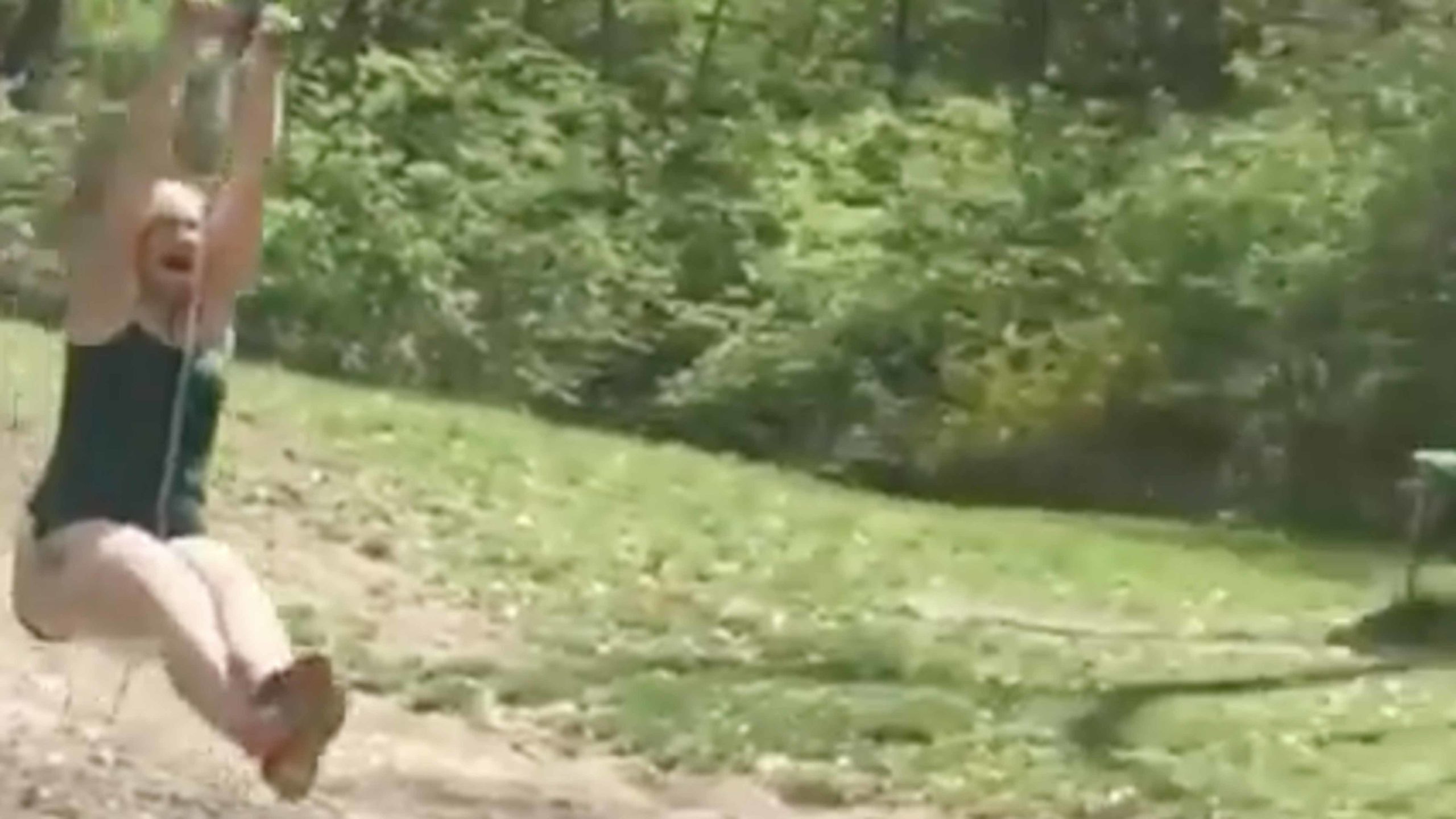 Darwin 11 23 22 scaled