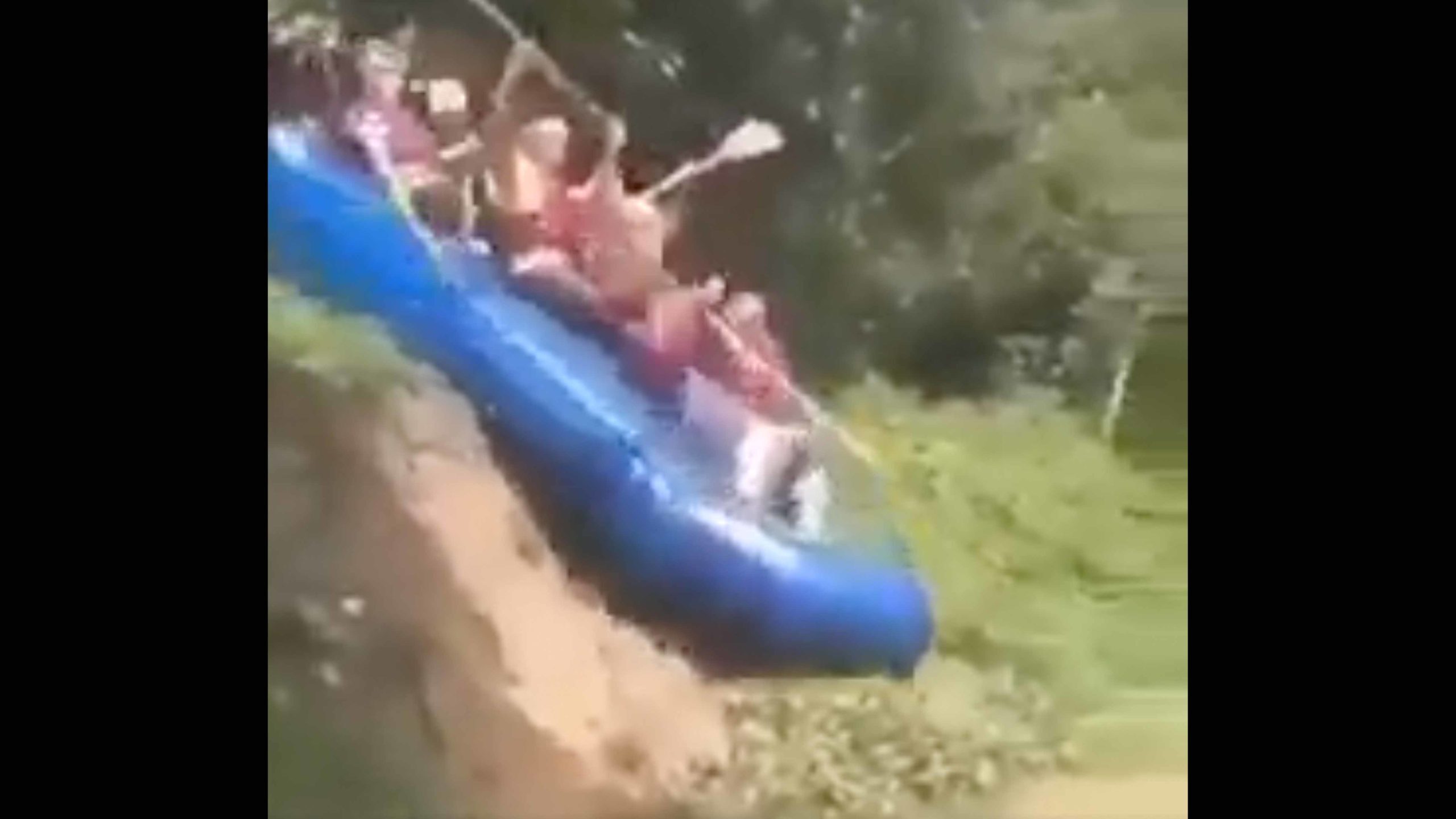 Darwin 11 24 22 scaled