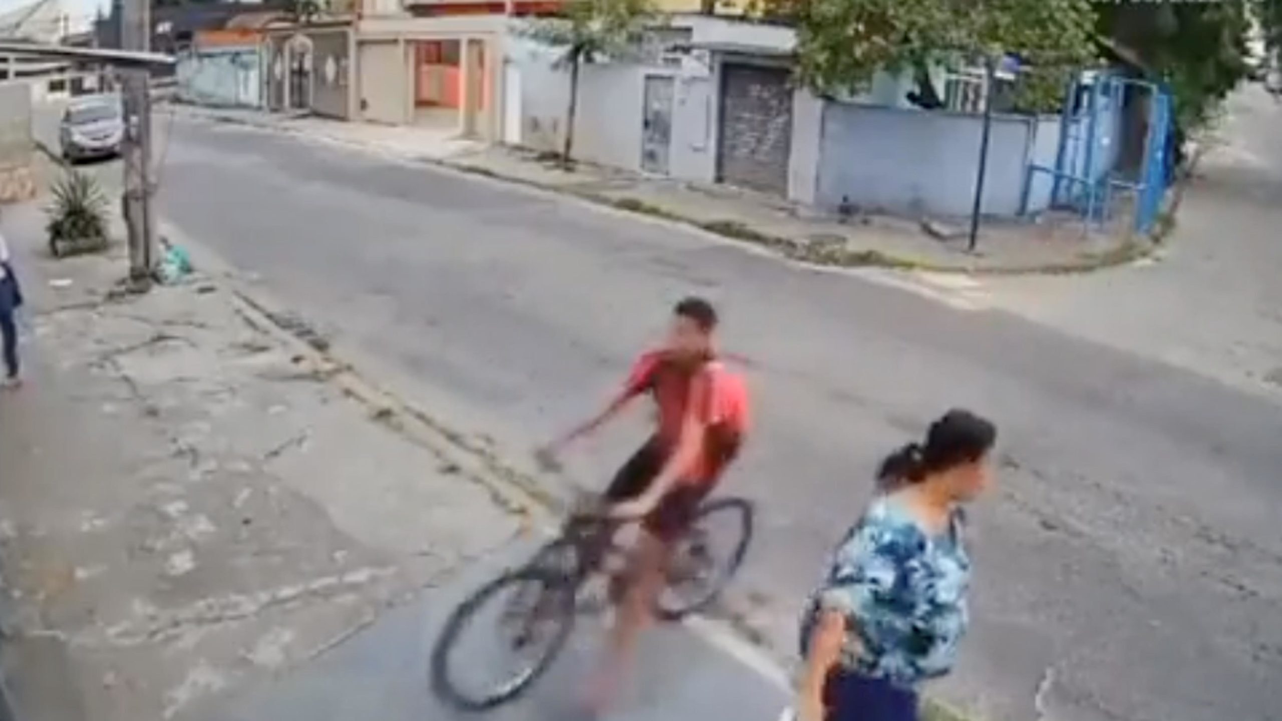 Darwin 11 8 22 scaled