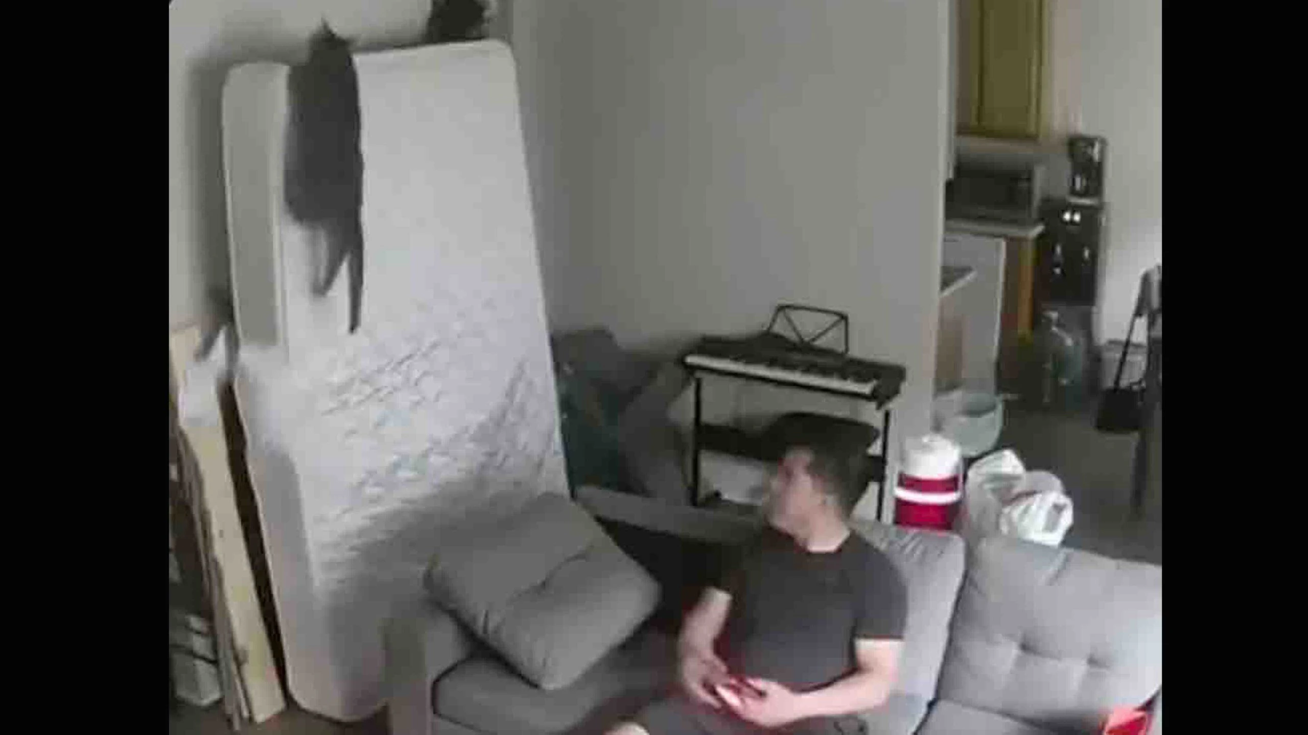 Darwin 2 11 18 22 scaled