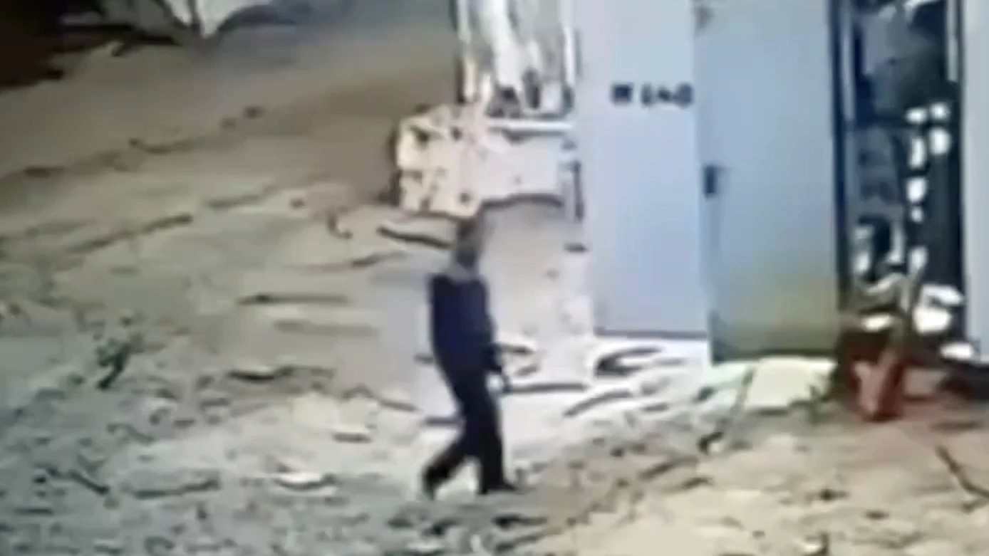 Darwin 2 12 23 no play