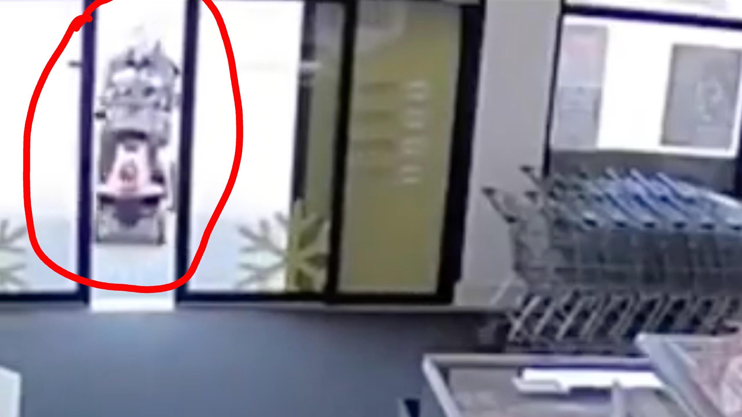 Darwin 2 3 23 scaled