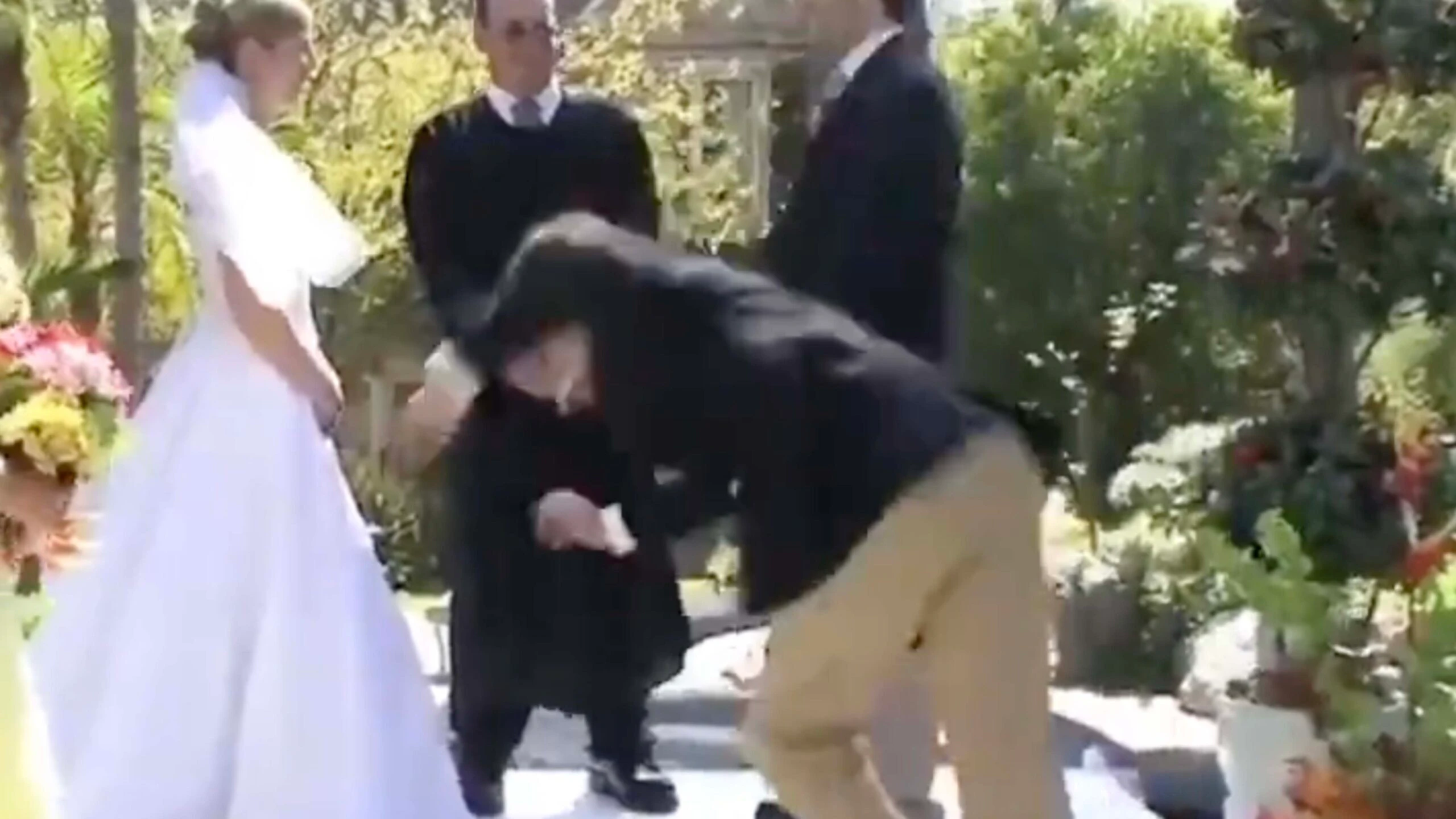 Darwin 2 7 23 1 scaled