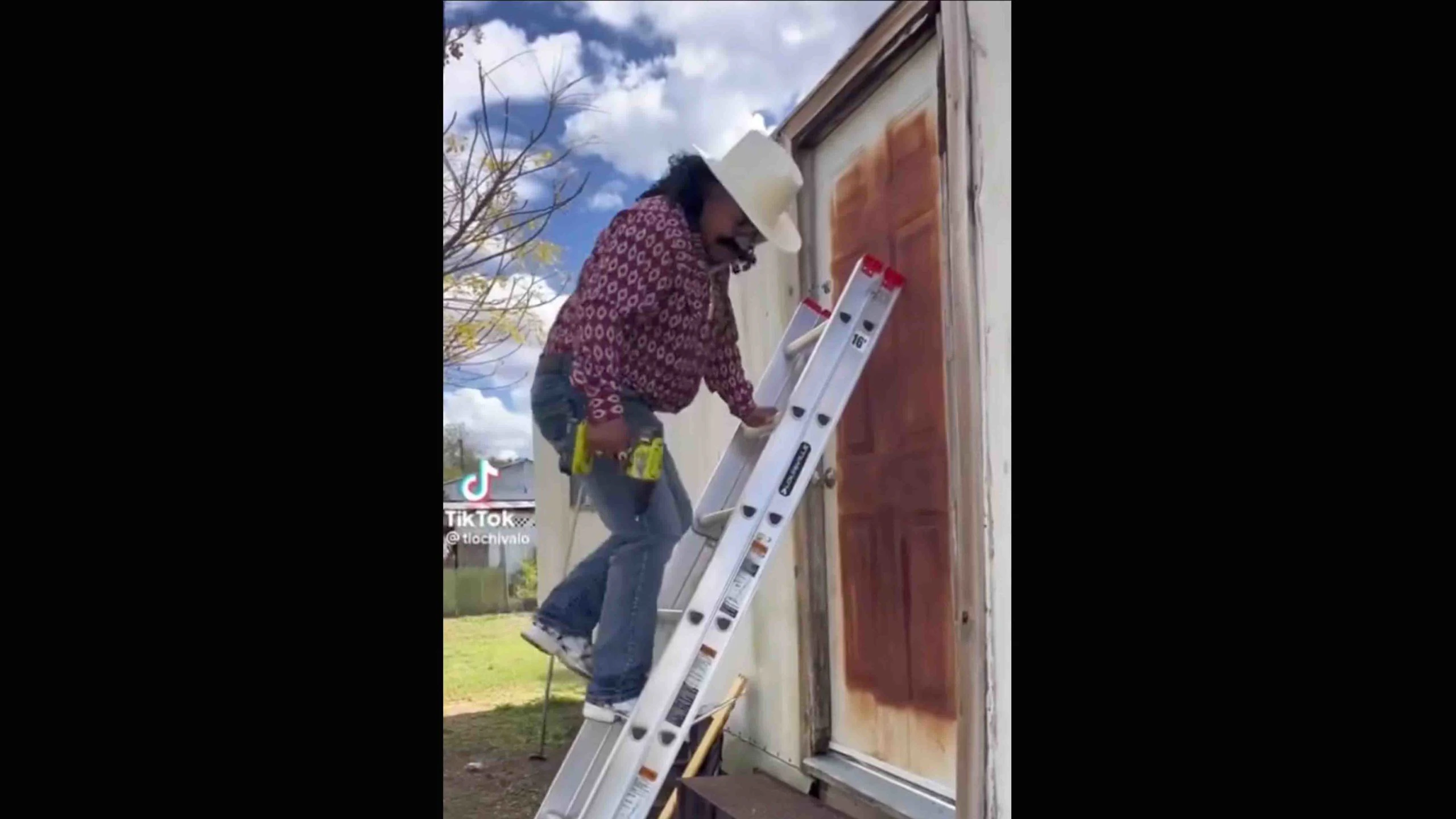 Darwin 3 11 18 22 scaled