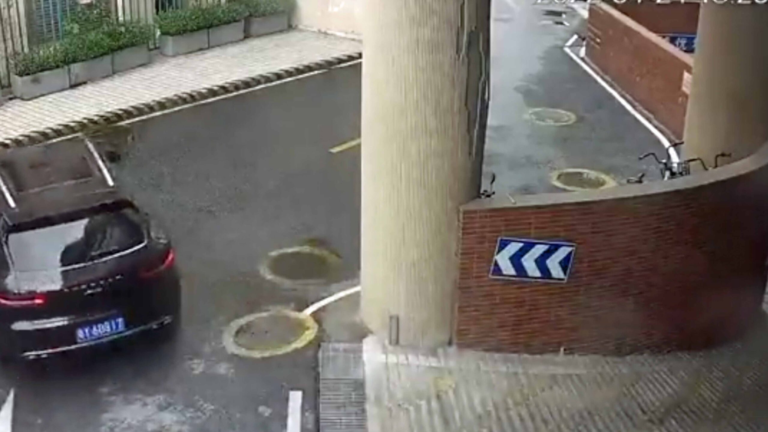 Darwin 3 15 23 scaled