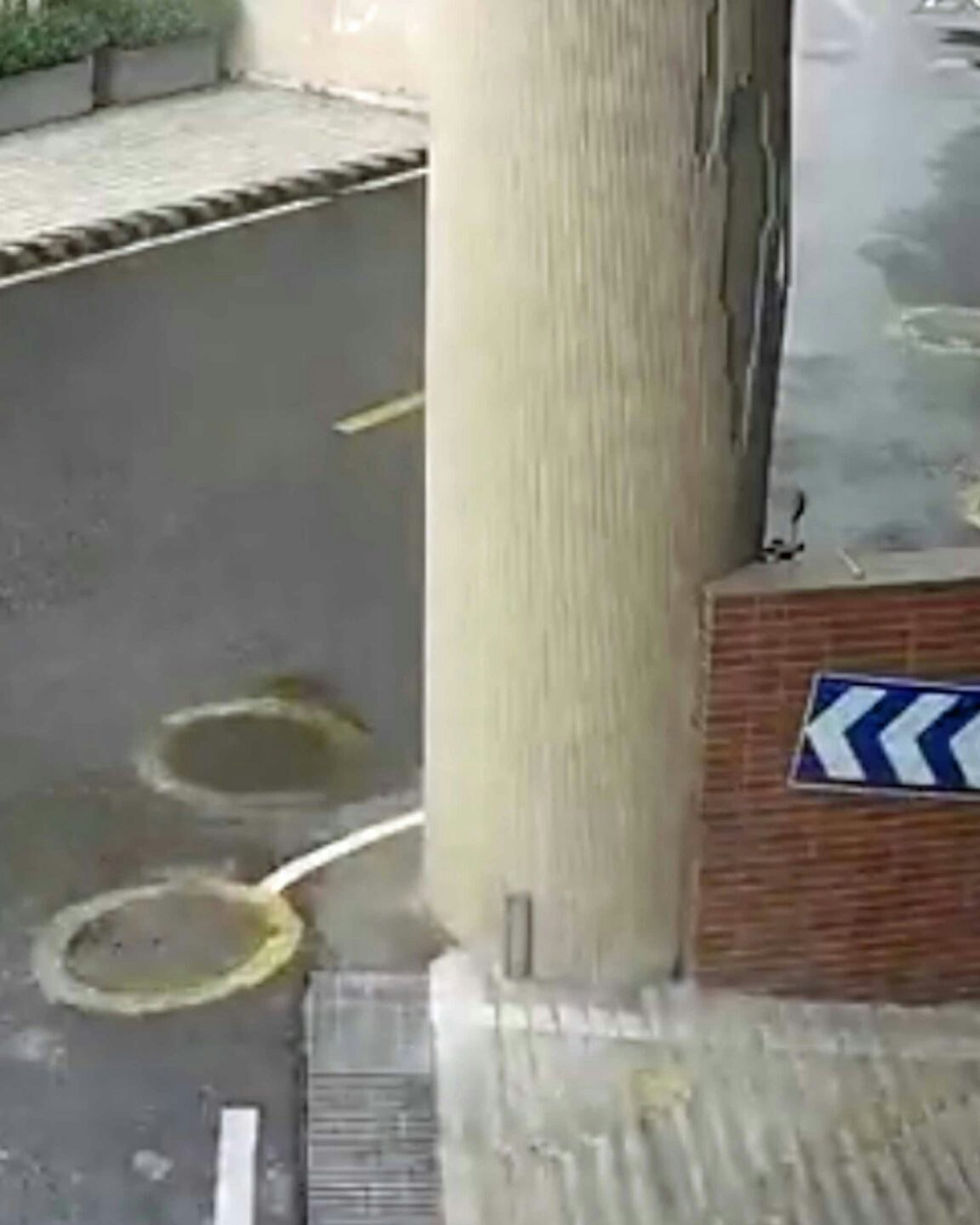 Darwin 3 15 23 scaled