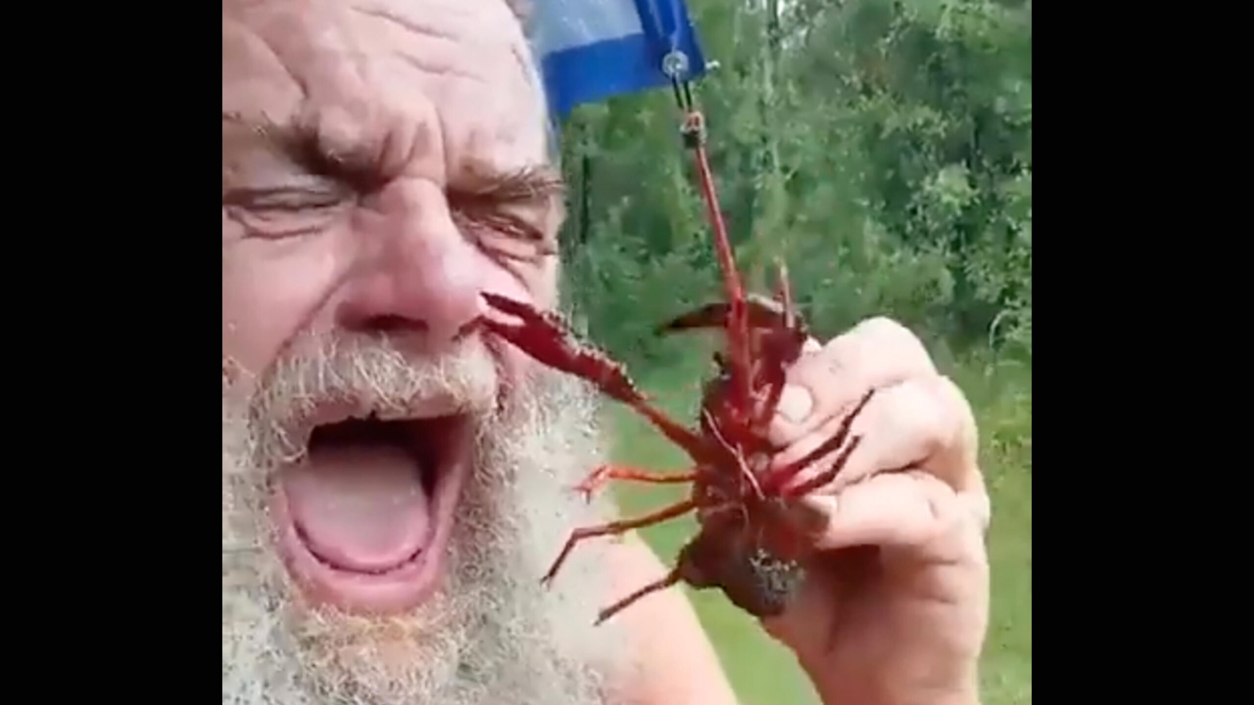 Darwin 3 22 23 scaled