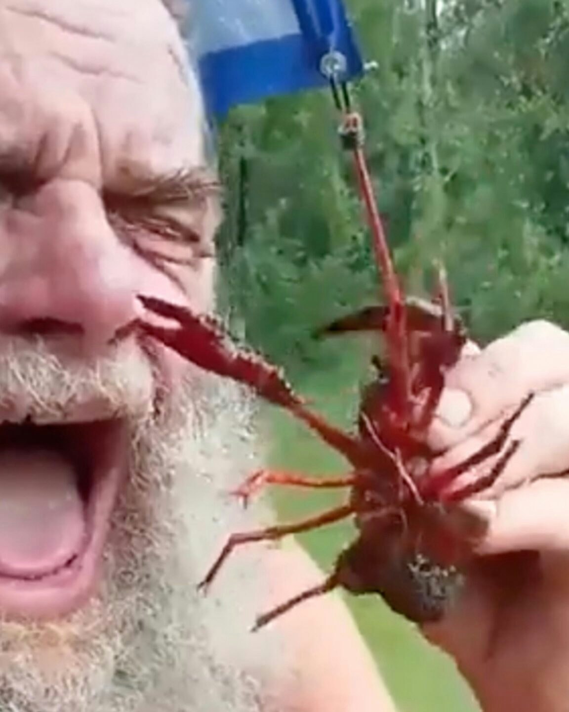 Darwin 3 22 23 scaled