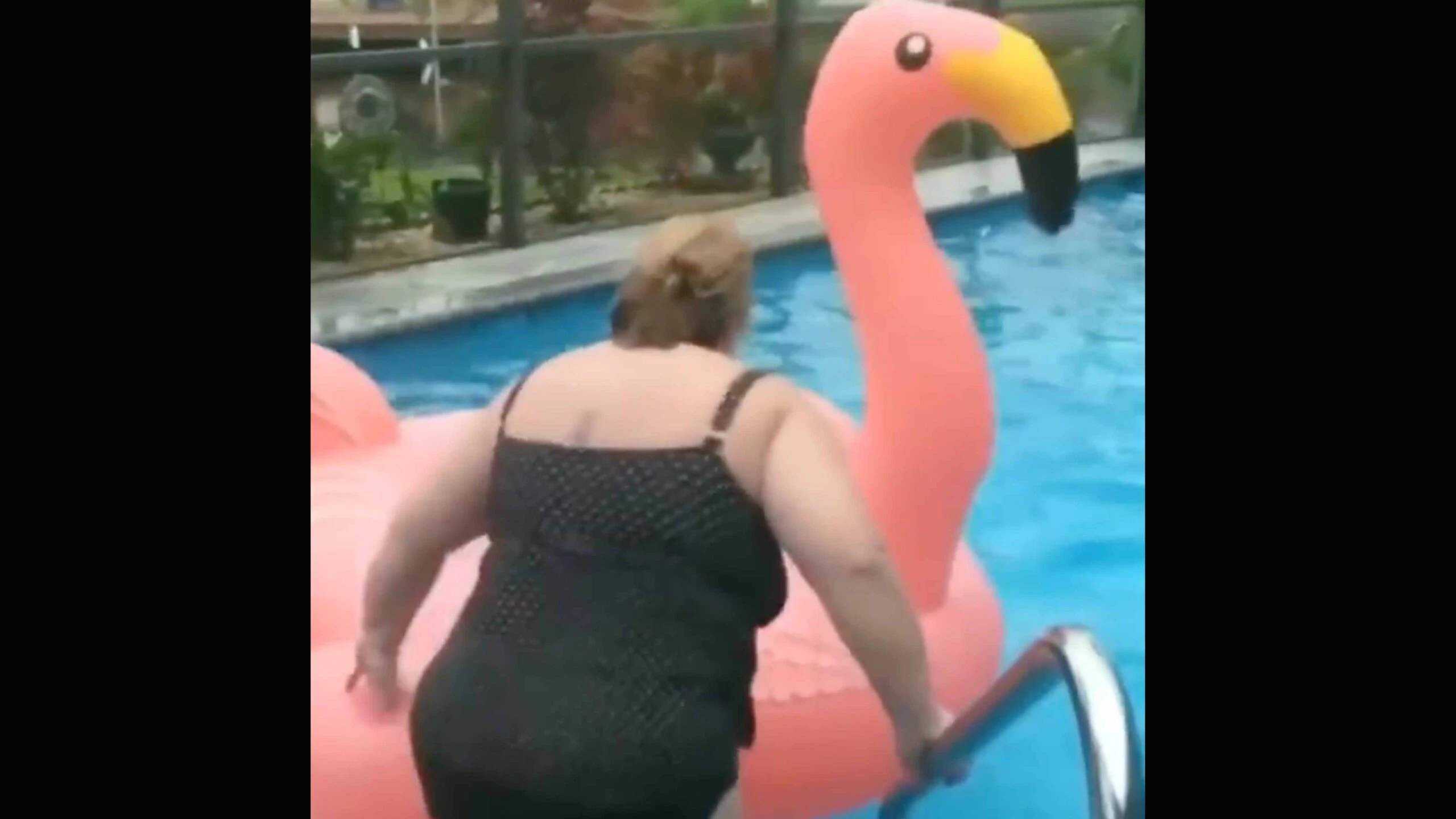 Darwin 3 24 23 scaled